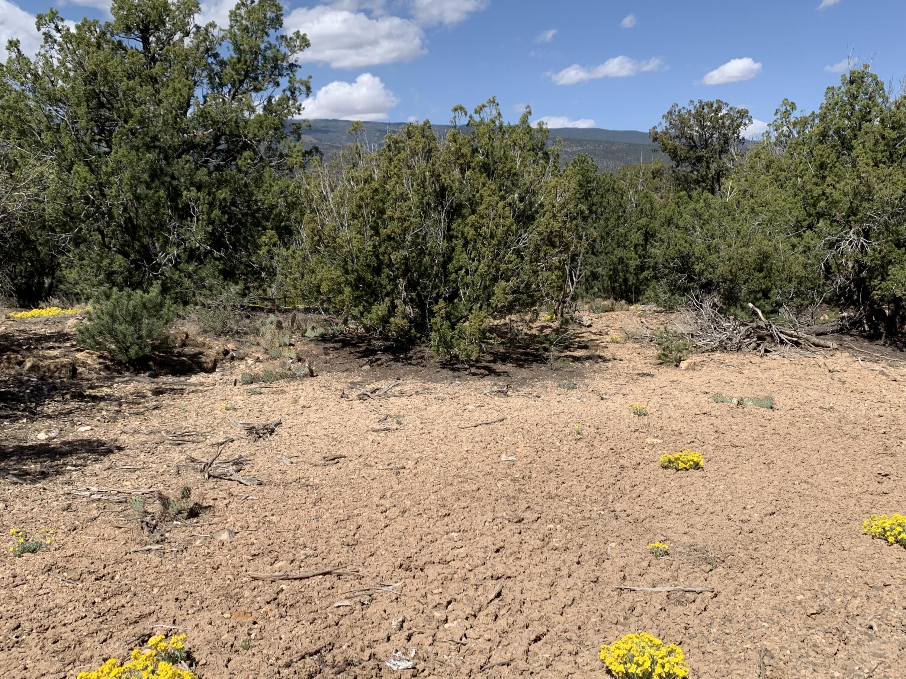 5 Vista De Sandia