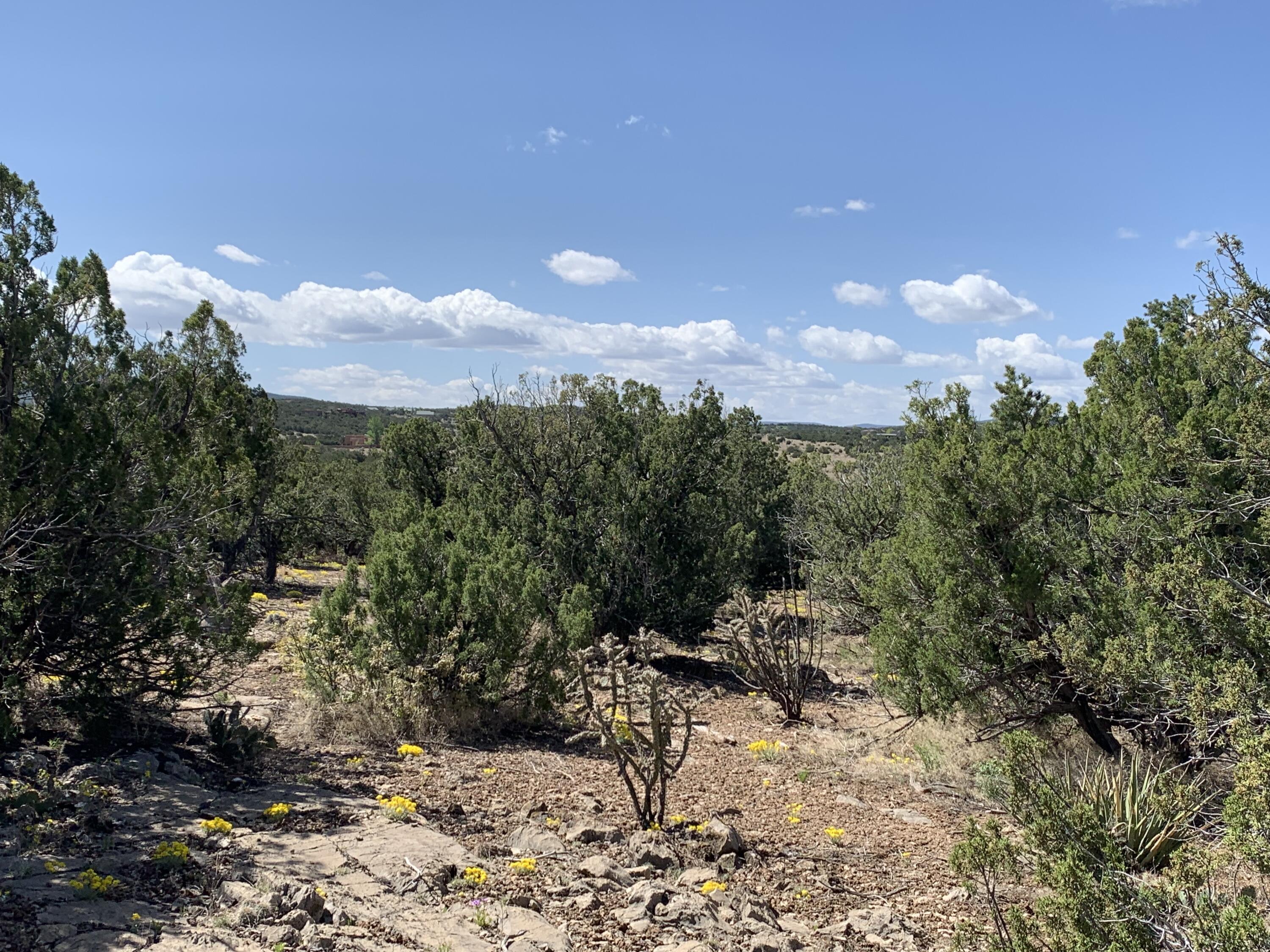 5 Vista De Sandia