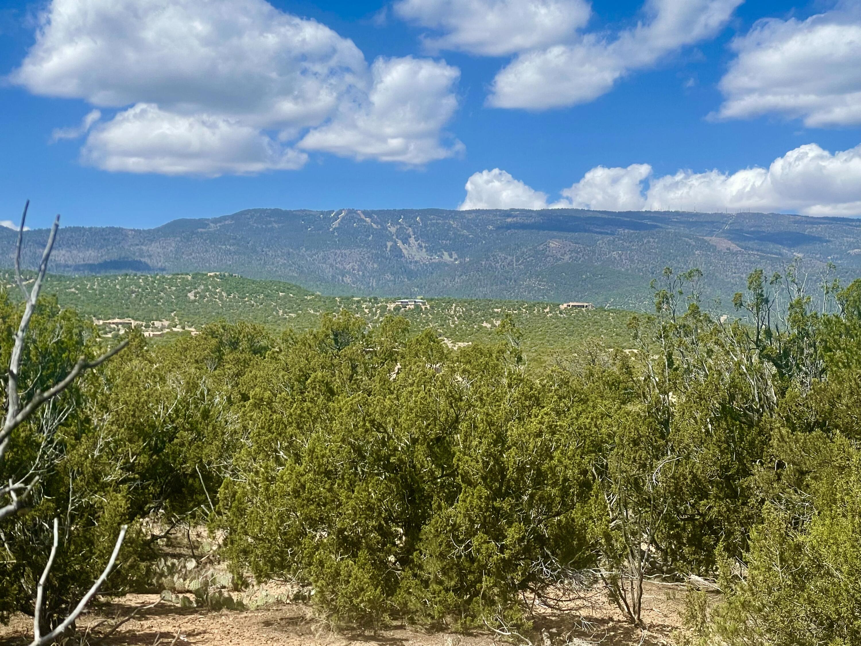 5 Vista De Sandia