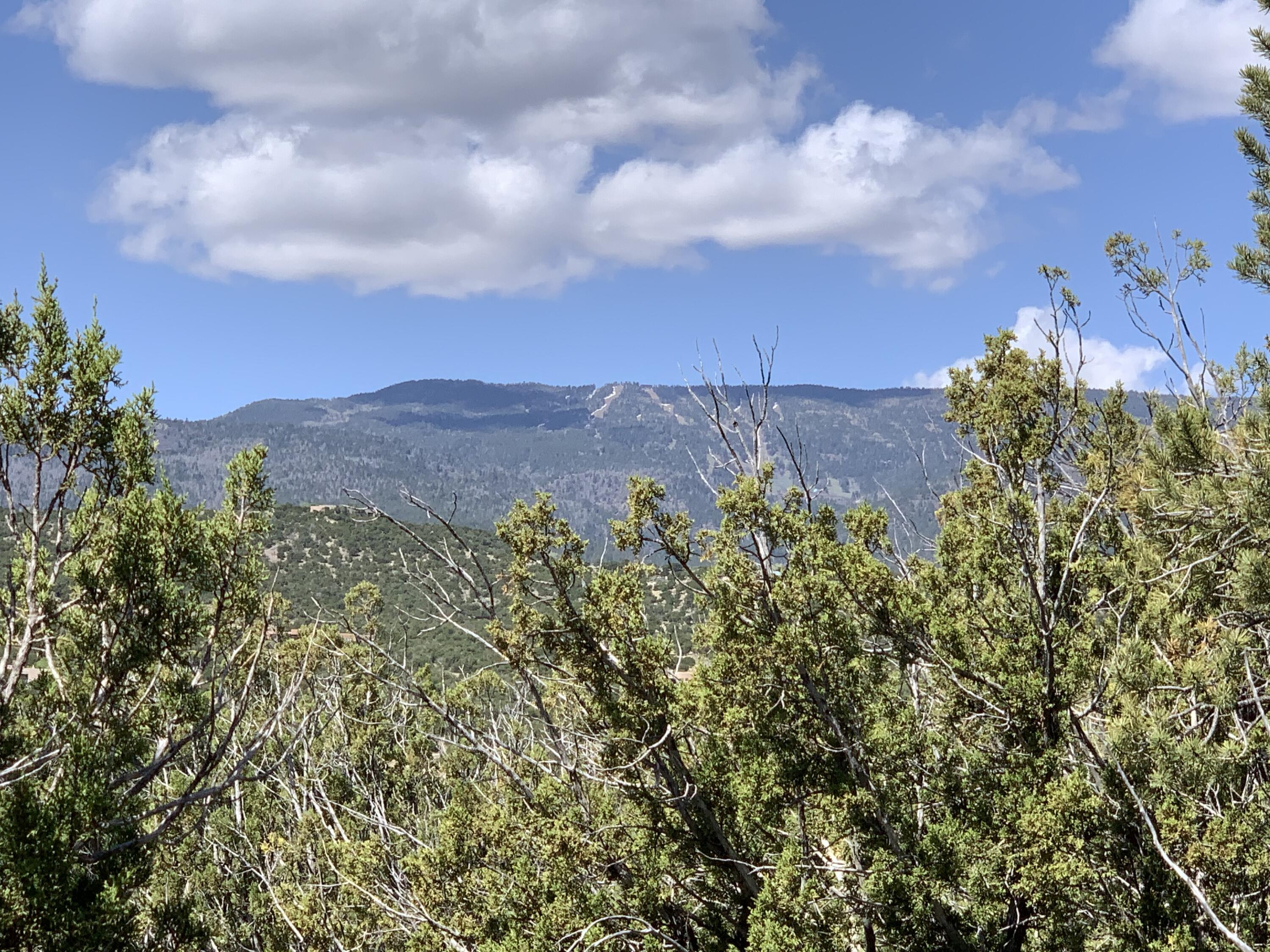 5 Vista De Sandia