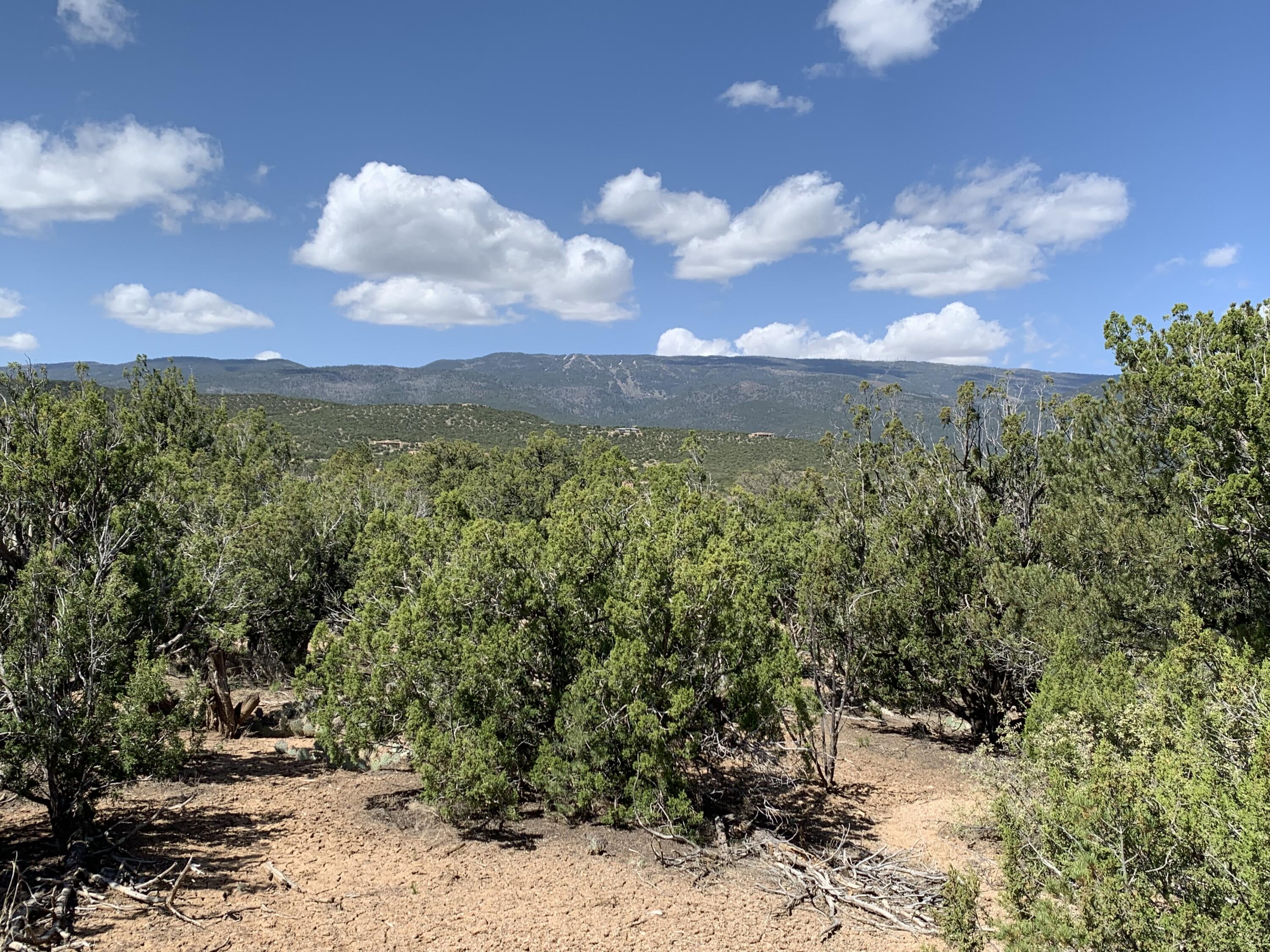 5 Vista De Sandia
