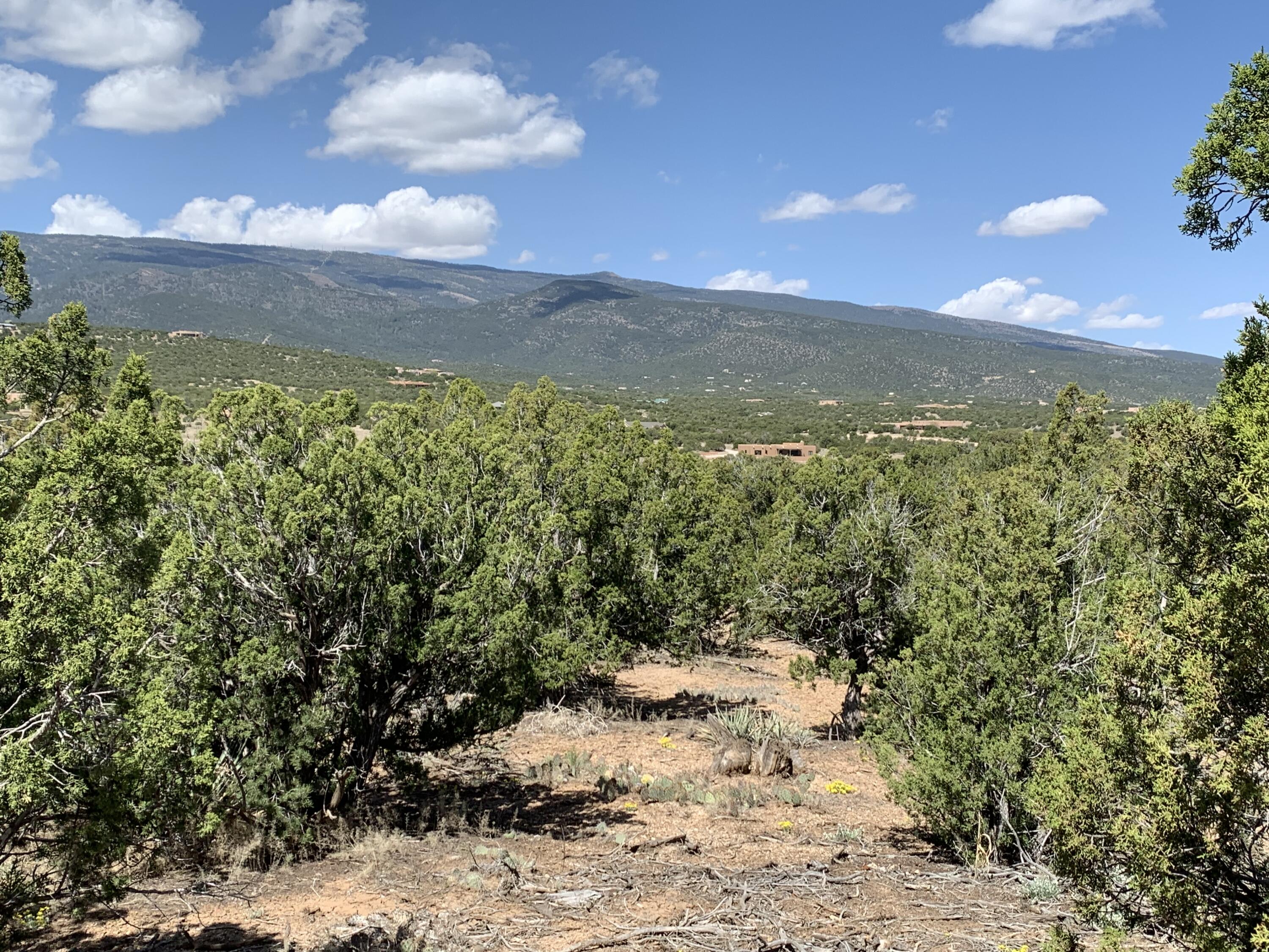 5 Vista De Sandia
