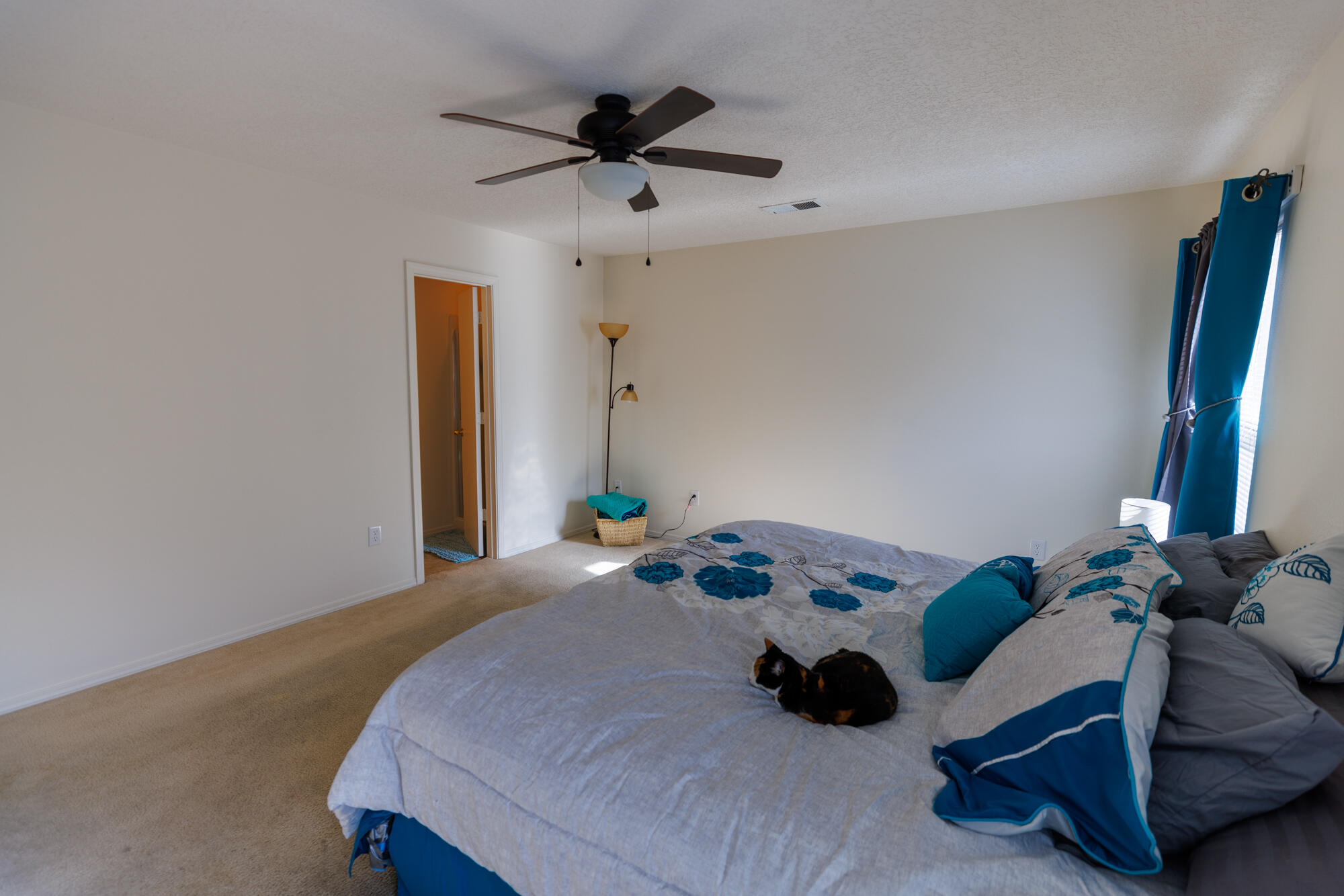 2822 Solano Del Sol Drive NE
