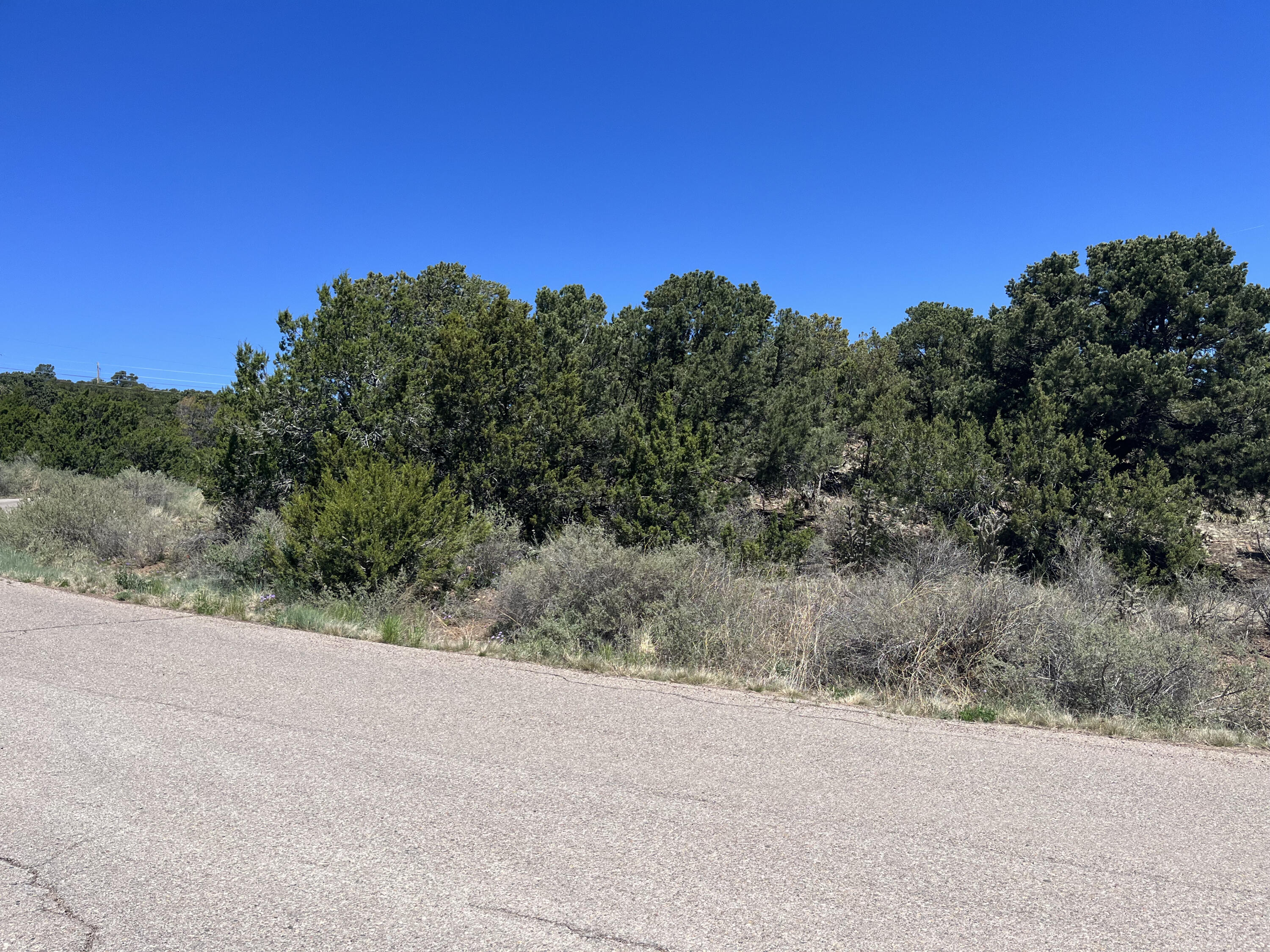 Zane Drive