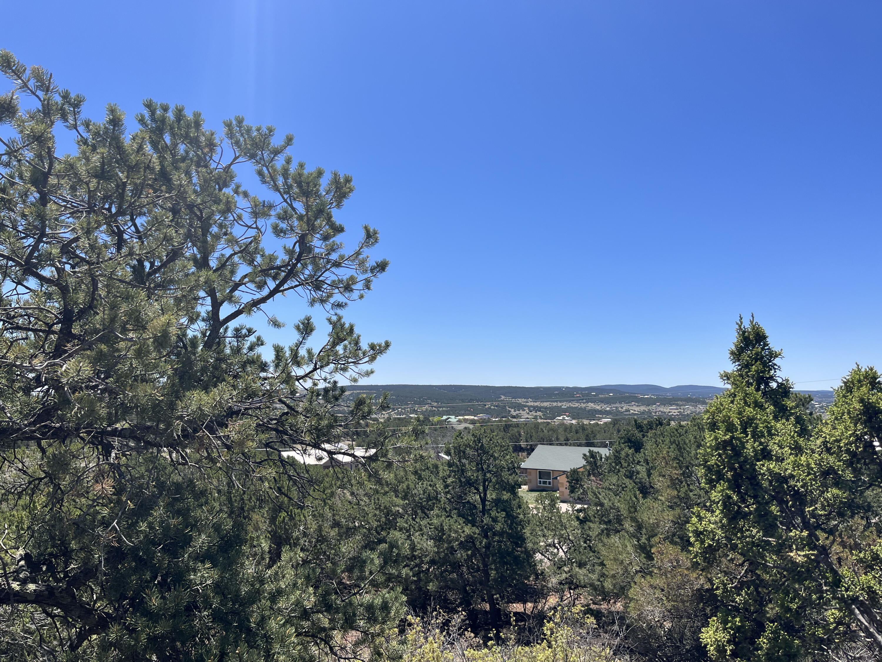 Zane Drive