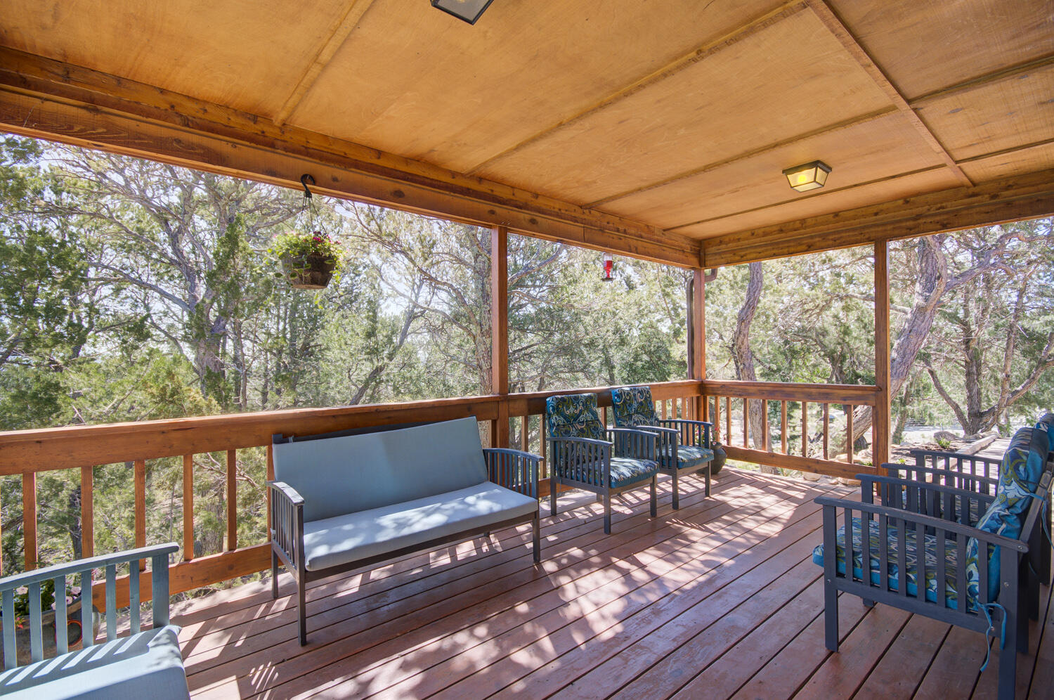 41 Mulberry Loop