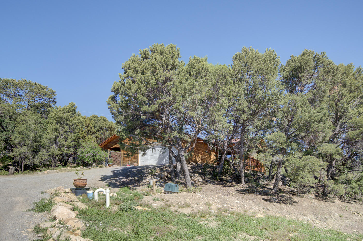 41 Mulberry Loop