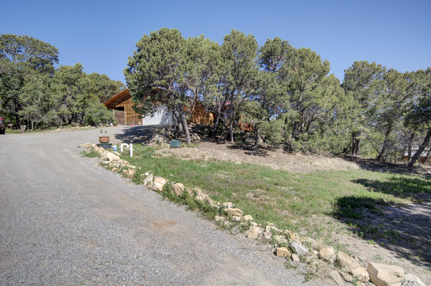 41 Mulberry Loop
