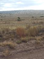 Pinon Springs