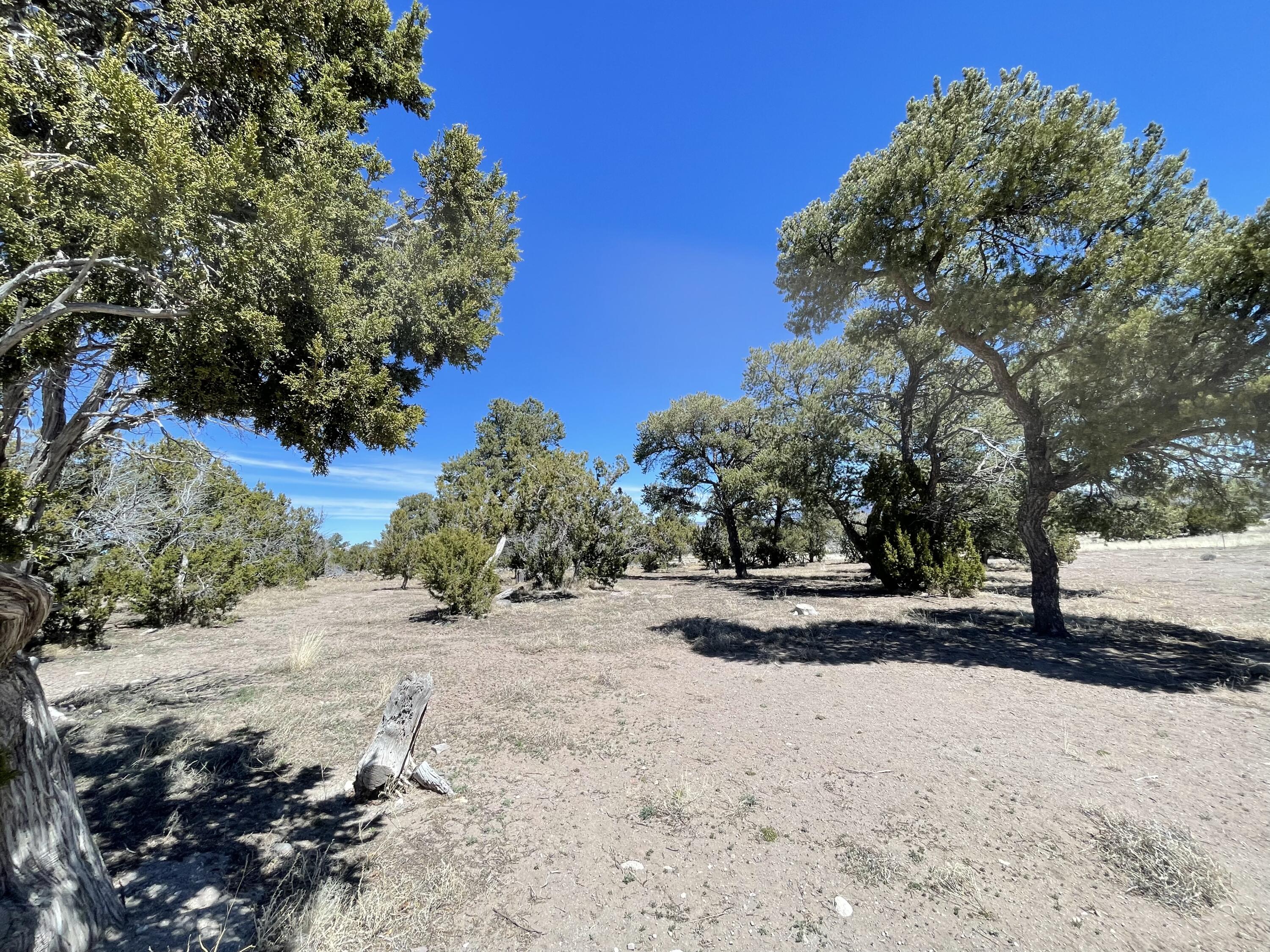 13 Zuni Trail