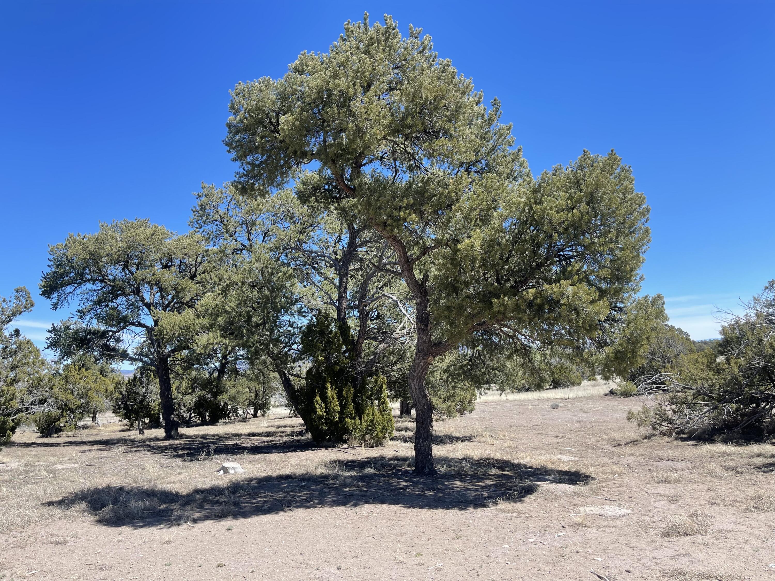 13 Zuni Trail