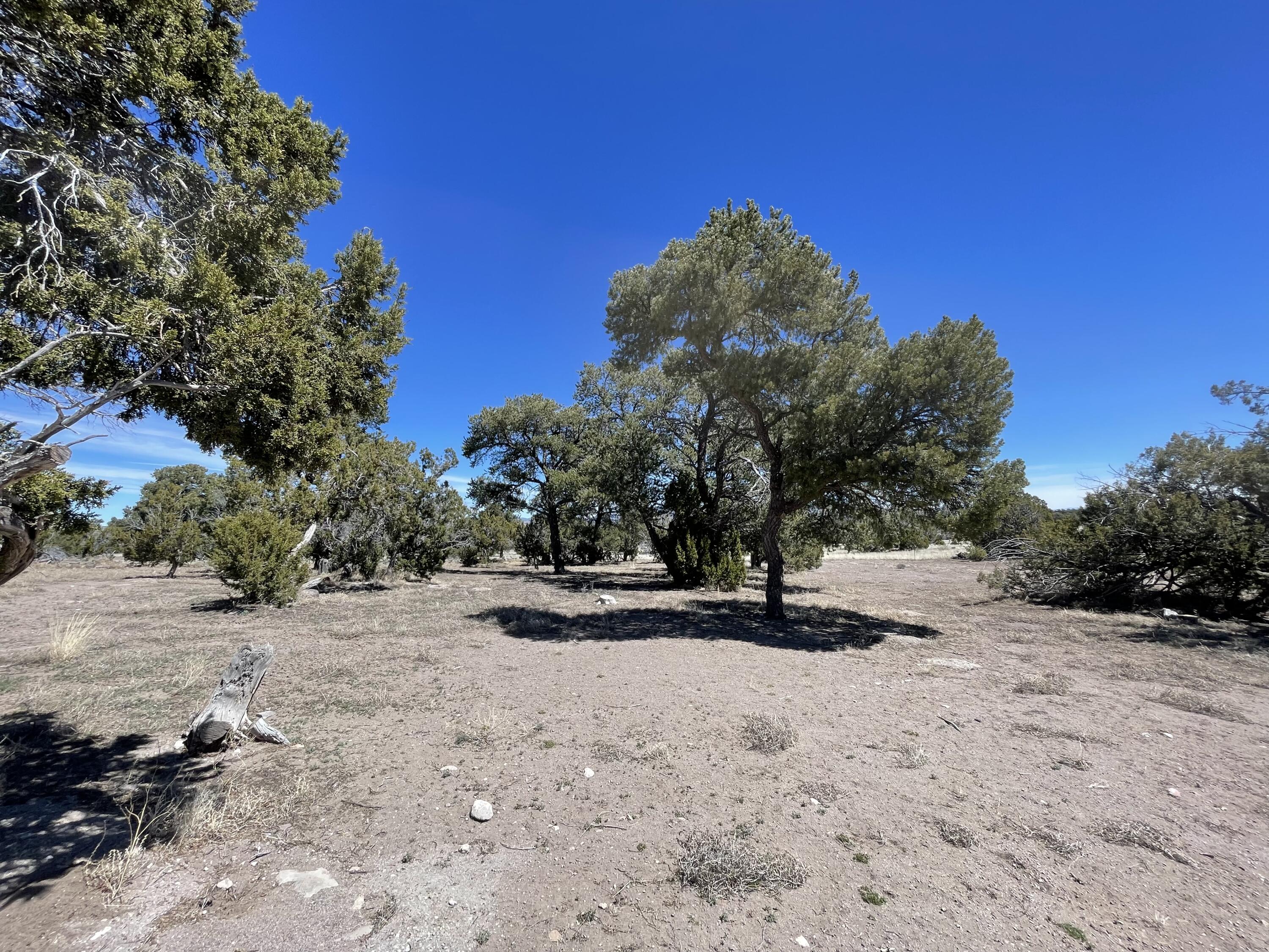 13 Zuni Trail