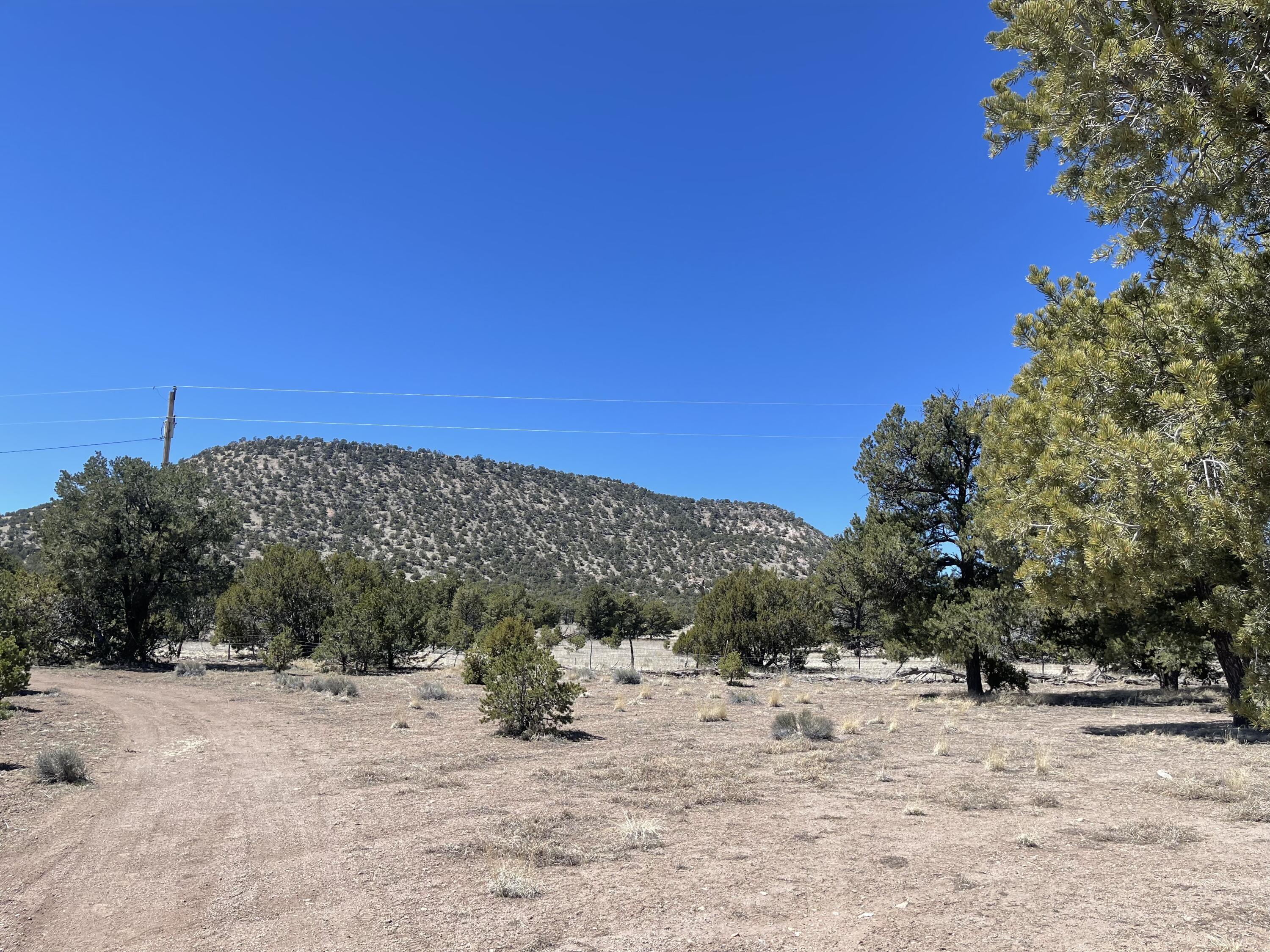 13 Zuni Trail