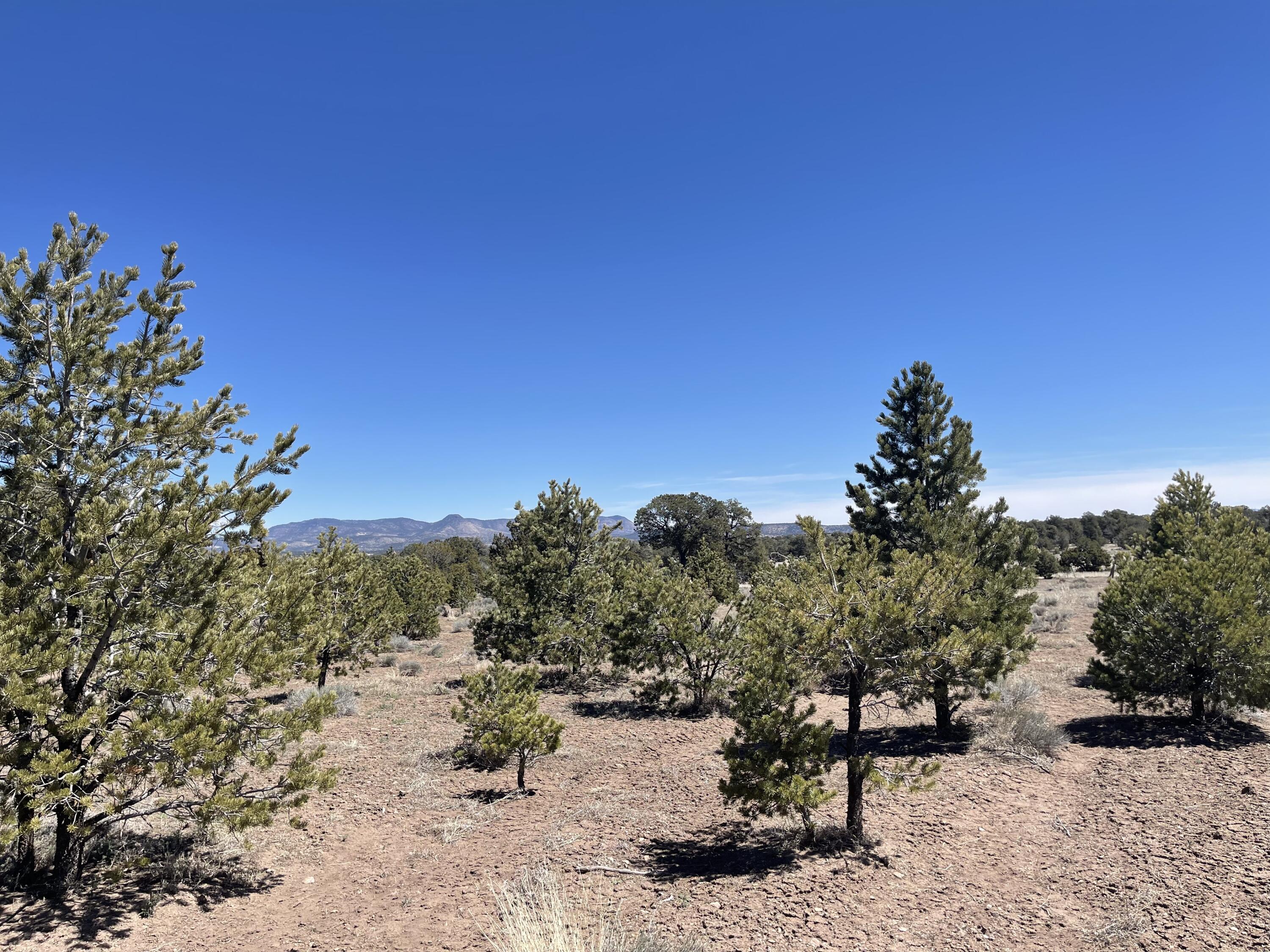 13 Zuni Trail