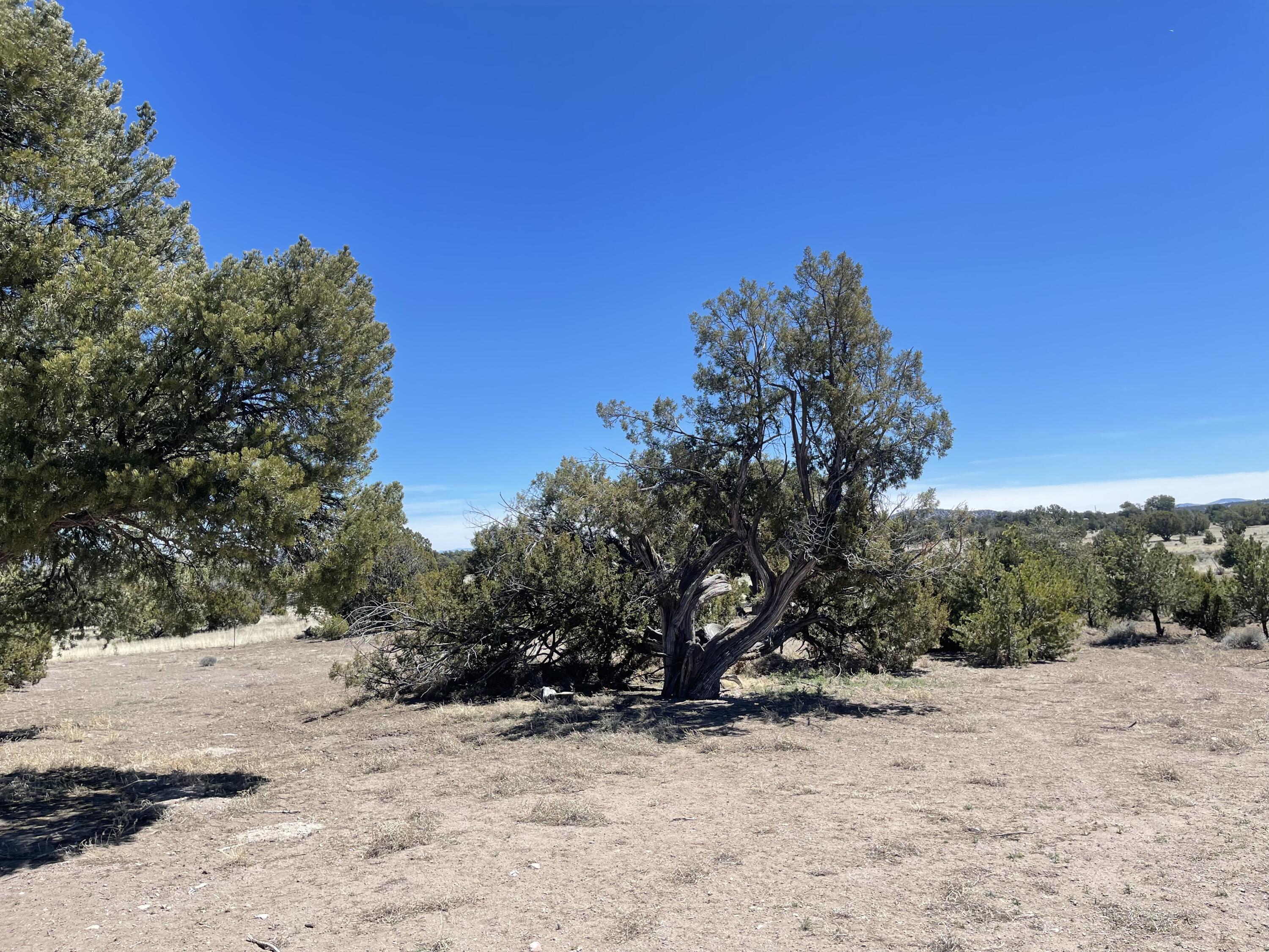 13 Zuni Trail
