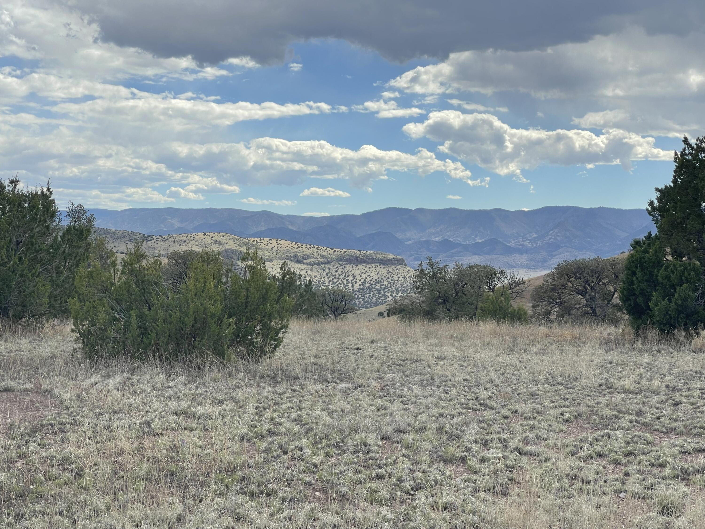 Big Cat Vista Ranch