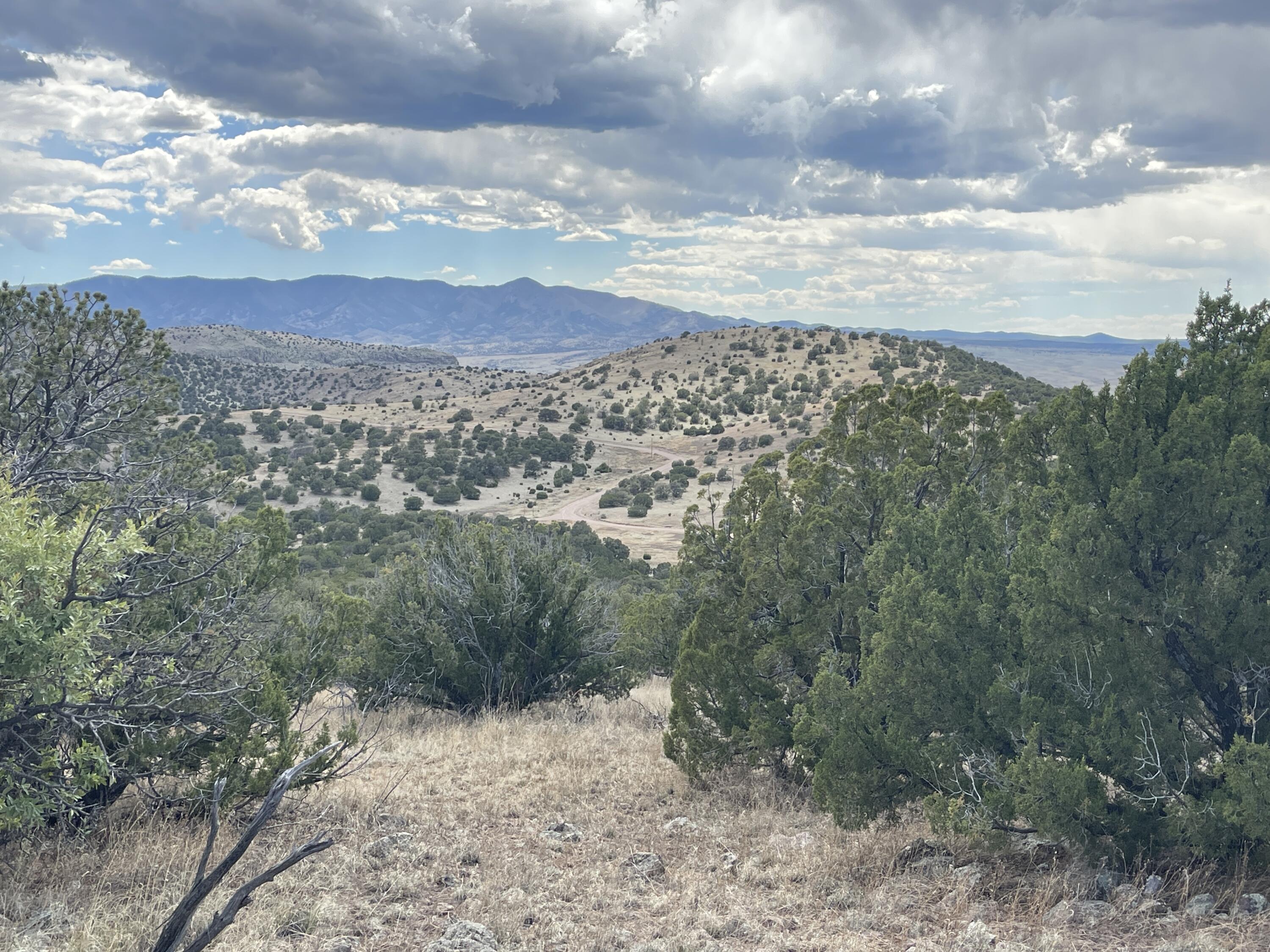 Big Cat Vista Ranch