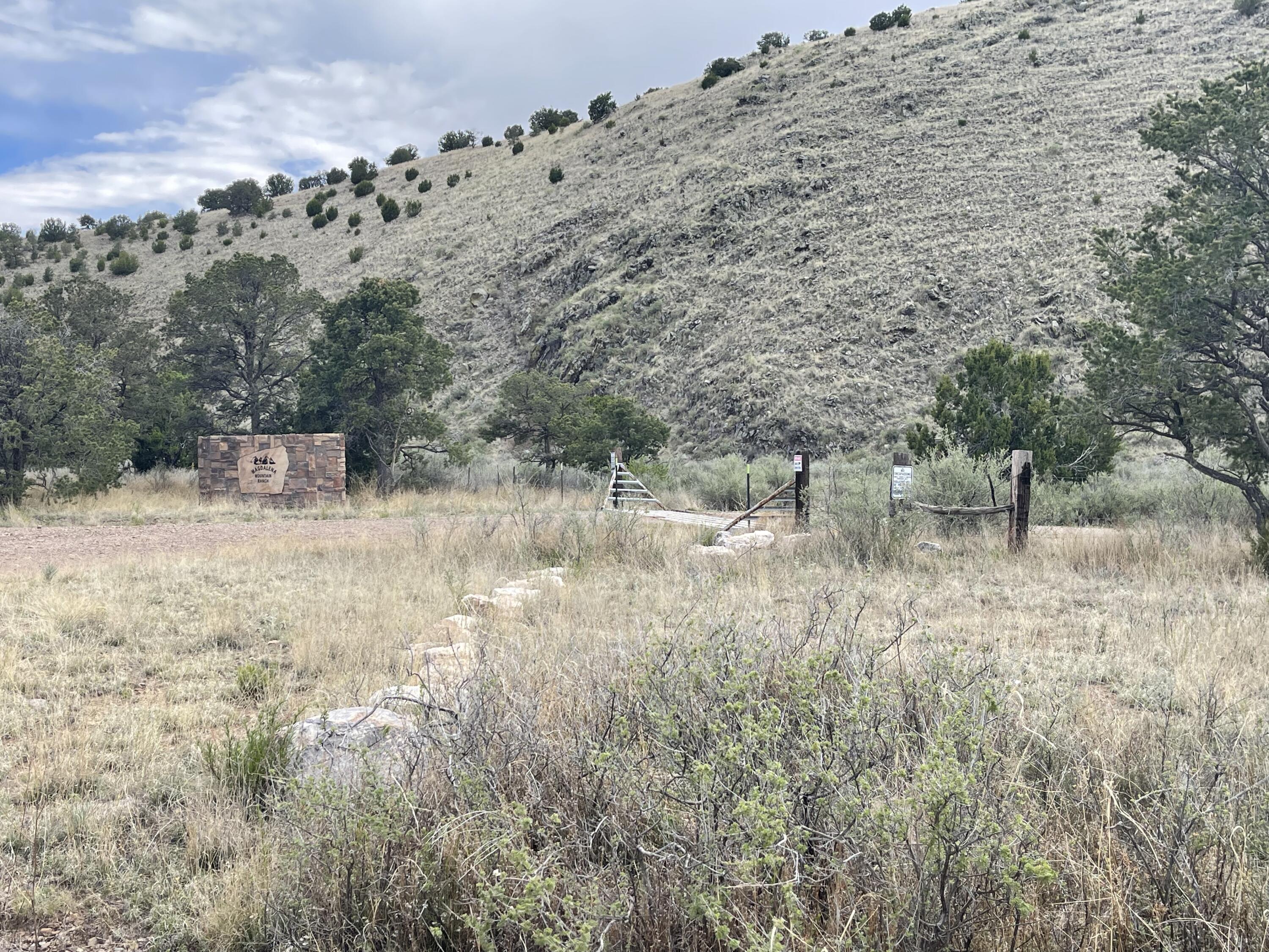 Big Cat Vista Ranch
