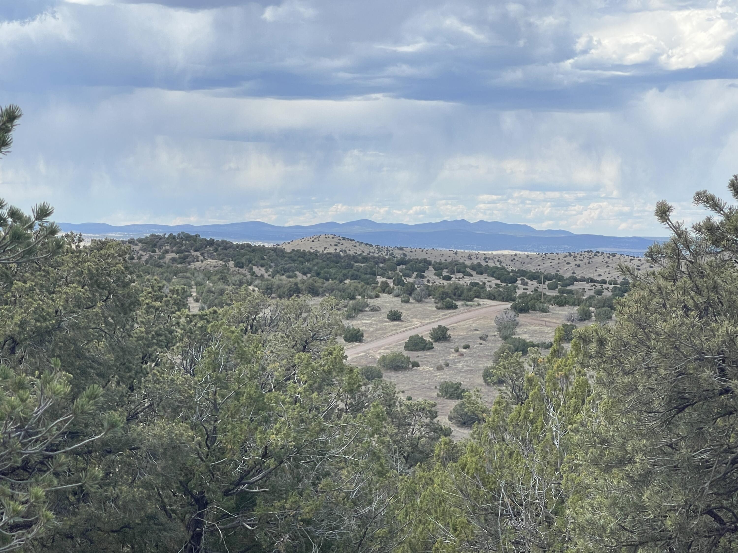 Big Cat Vista Ranch