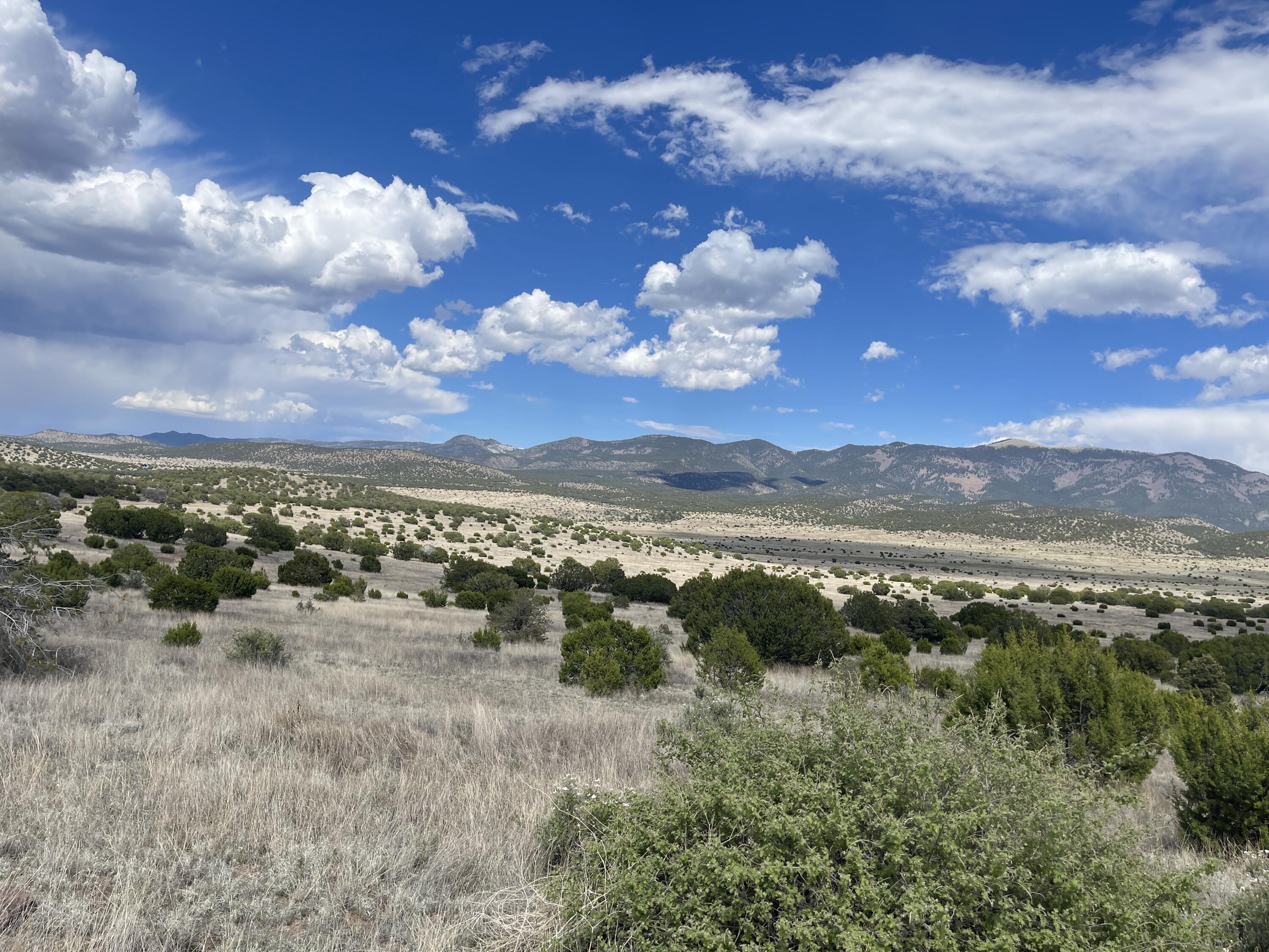 Big Cat Vista Ranch