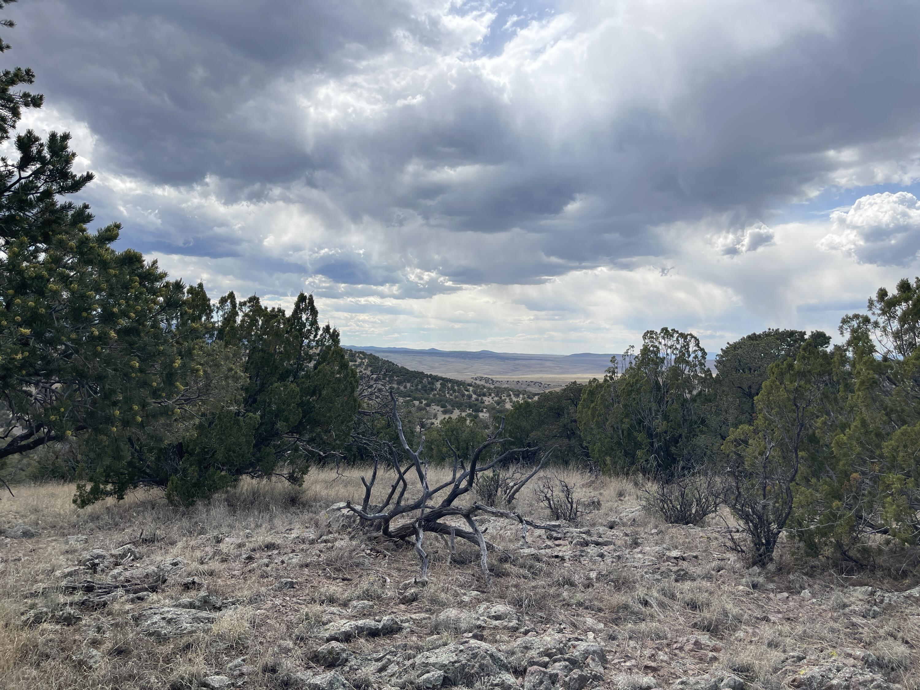 Big Cat Vista Ranch