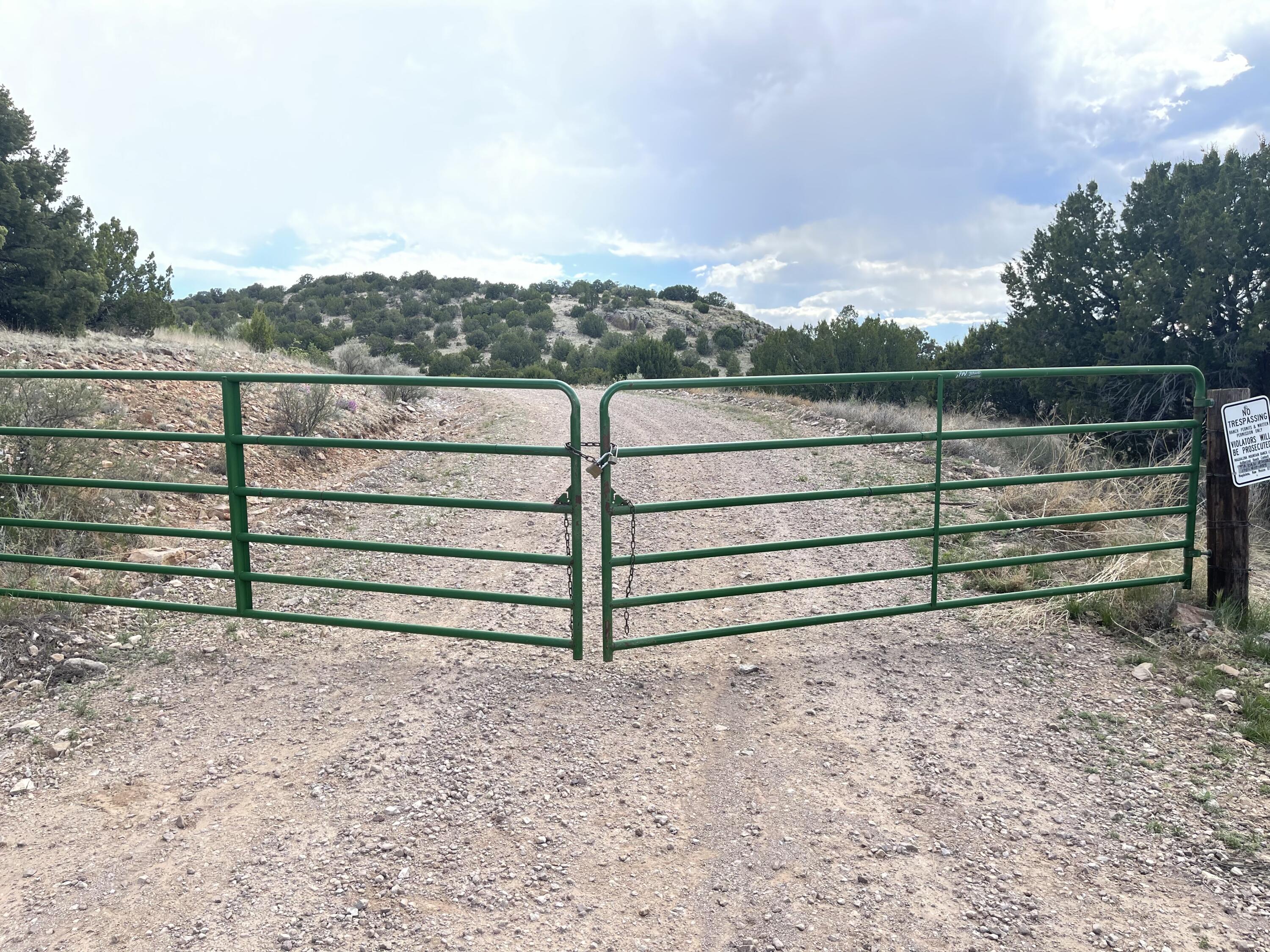 Big Cat Vista Ranch