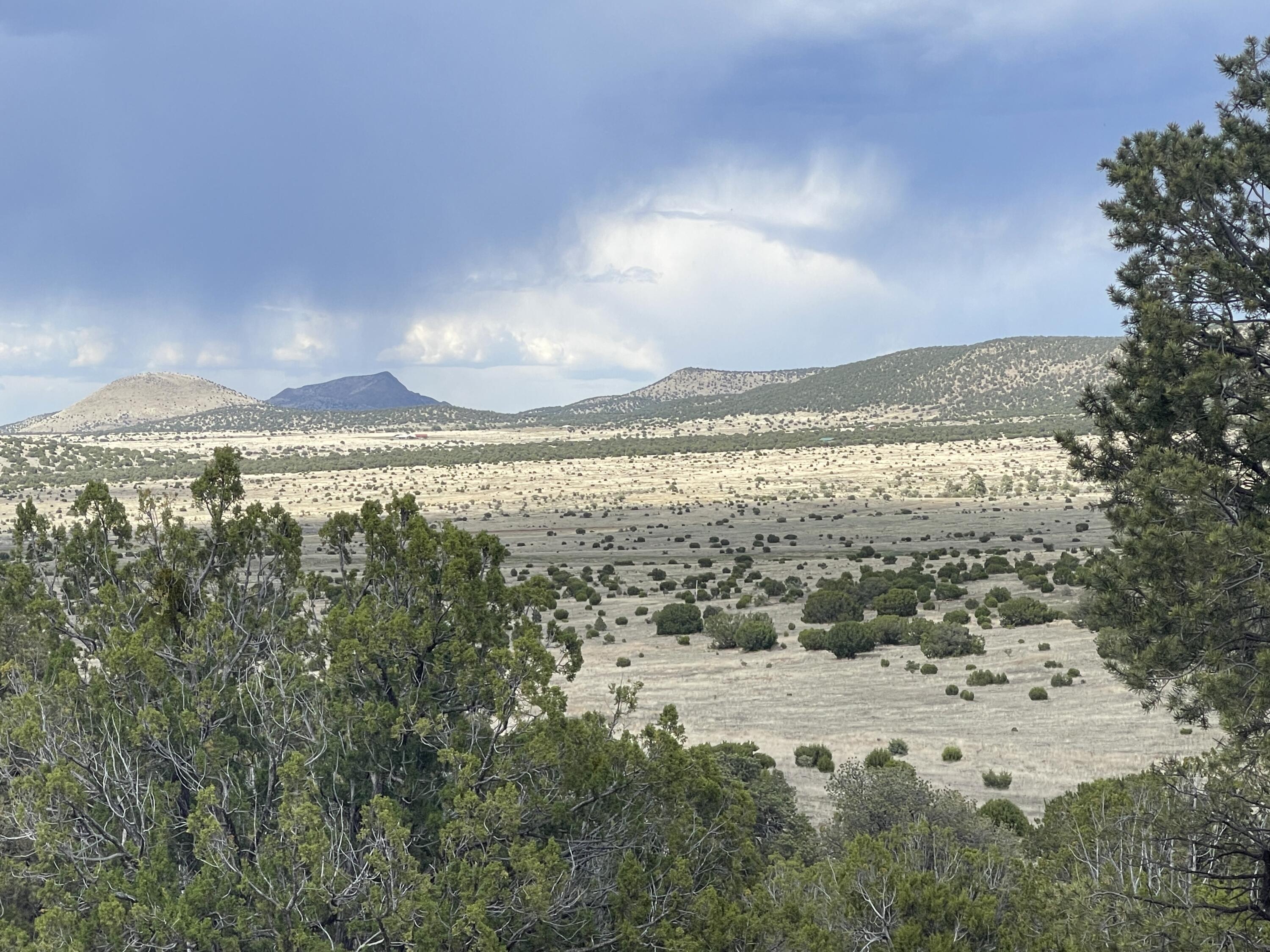 Big Cat Vista Ranch