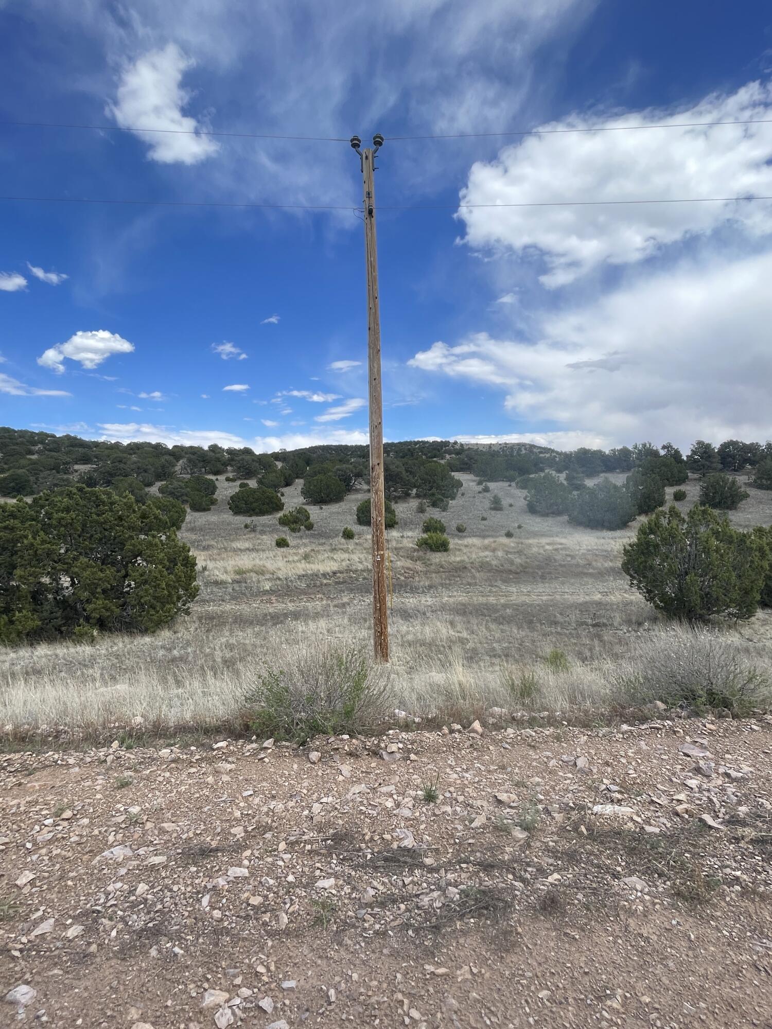 Big Cat Vista Ranch