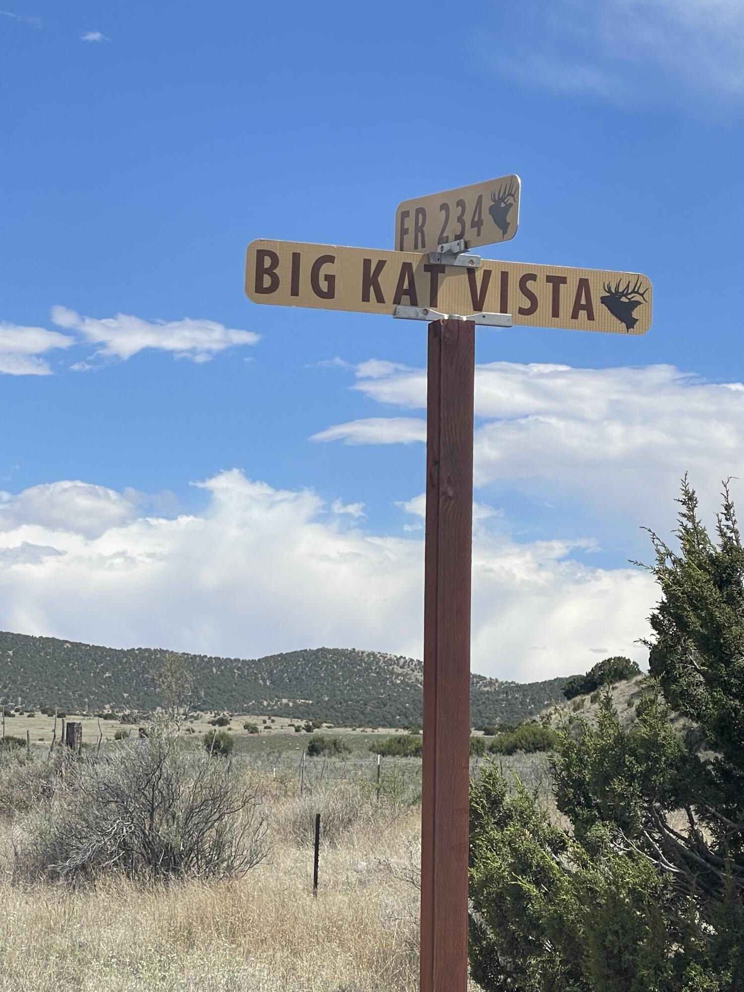 Big Cat Vista Ranch