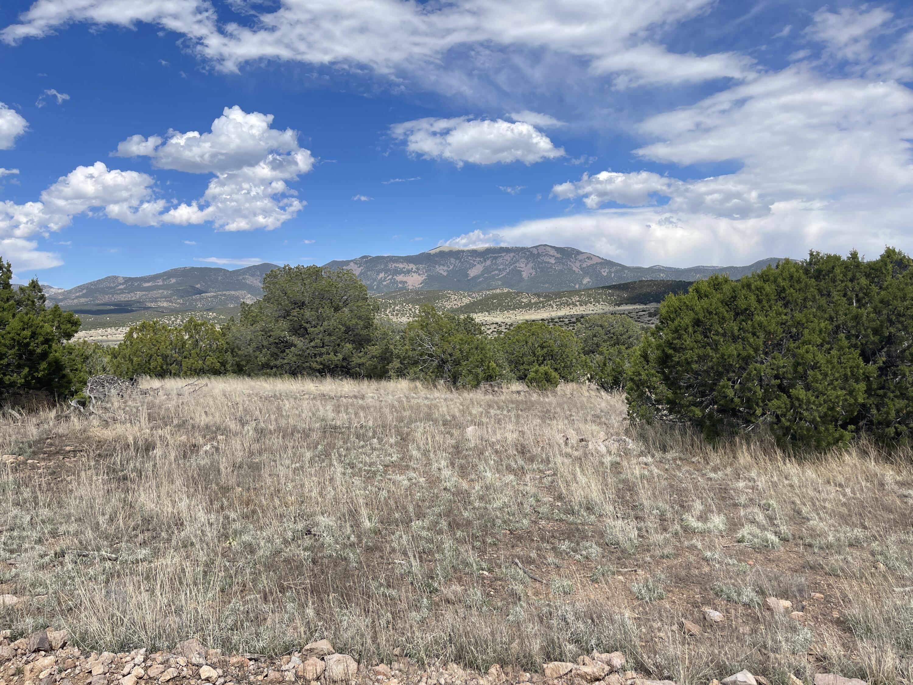 Big Cat Vista Ranch