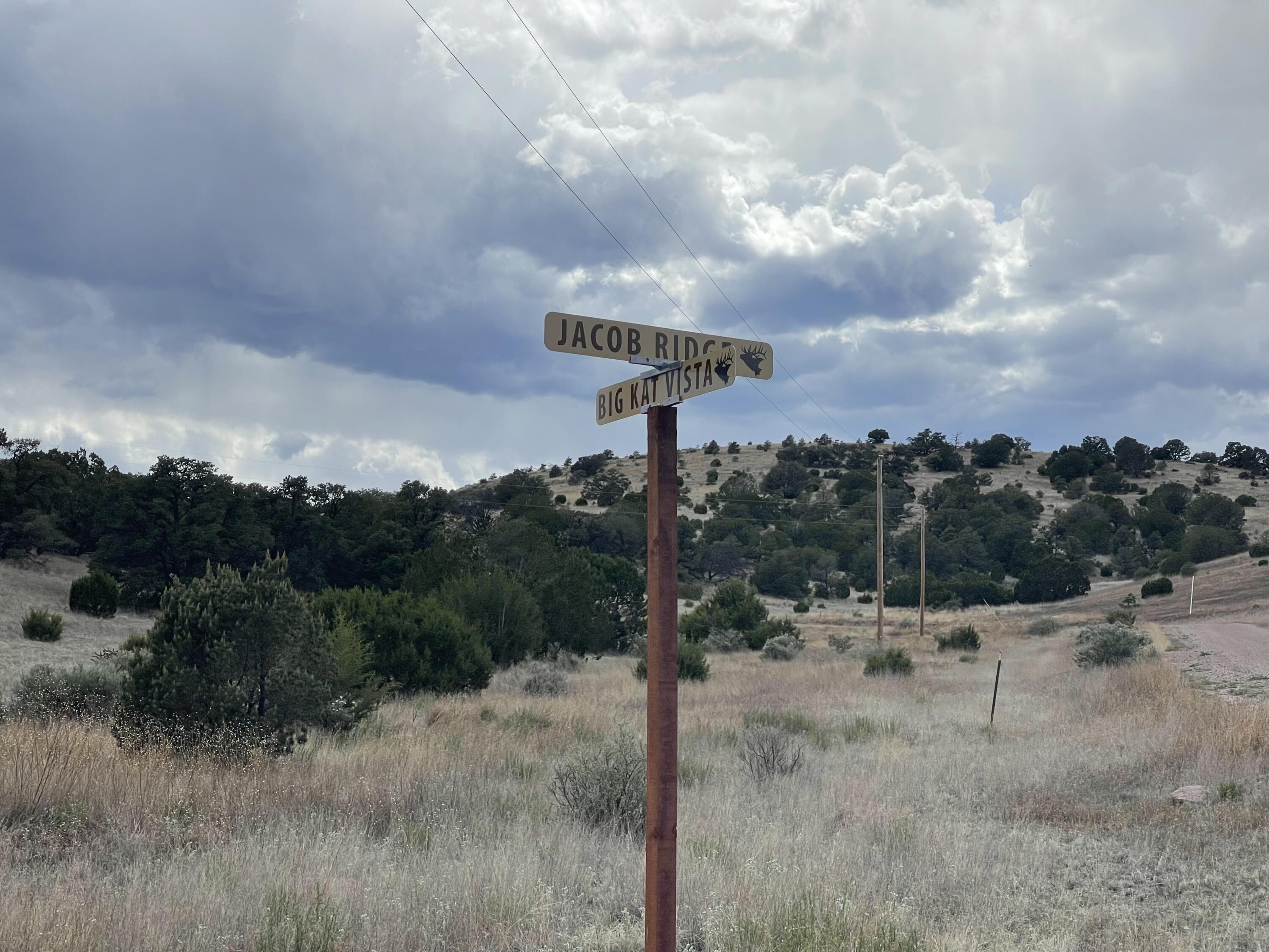 Big Cat Vista Ranch