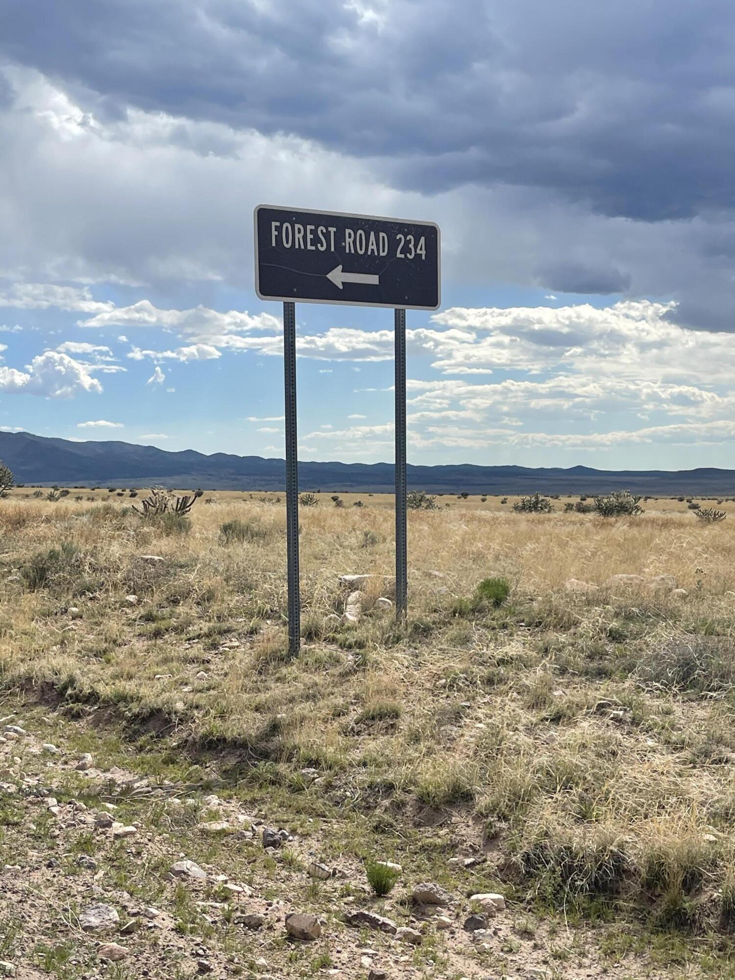 Big Cat Vista Ranch