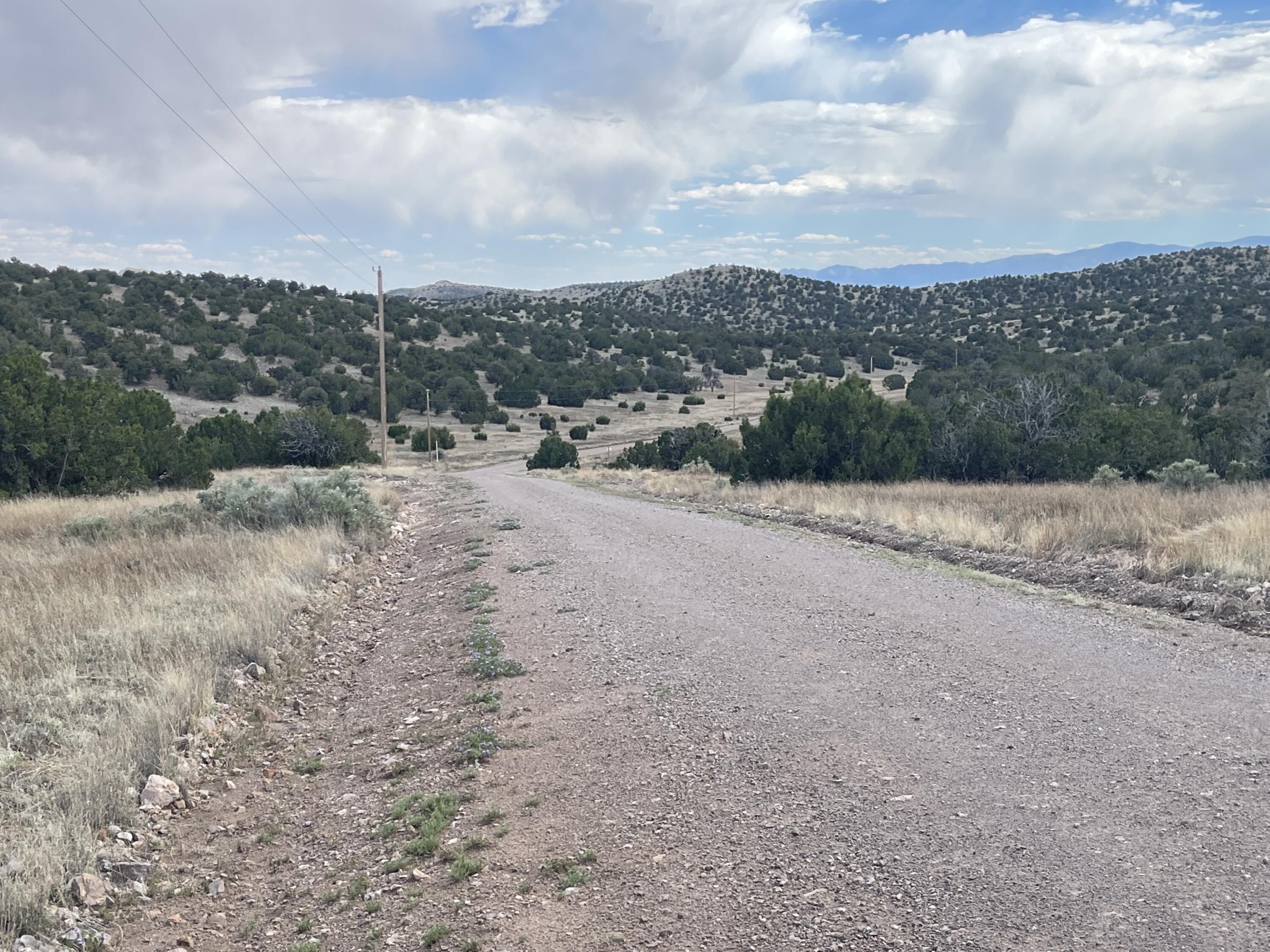 Big Cat Vista Ranch