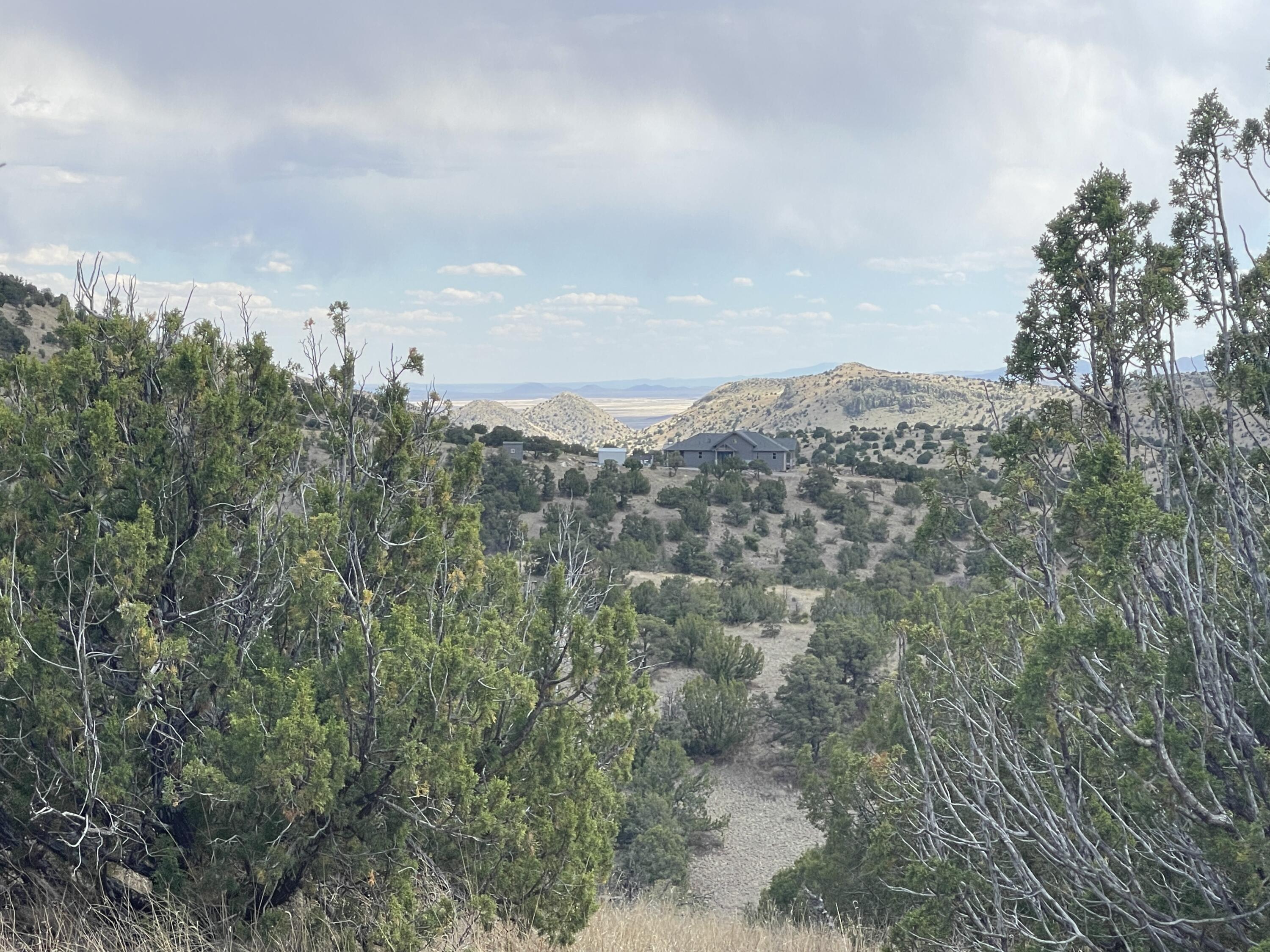 Big Cat Vista Ranch