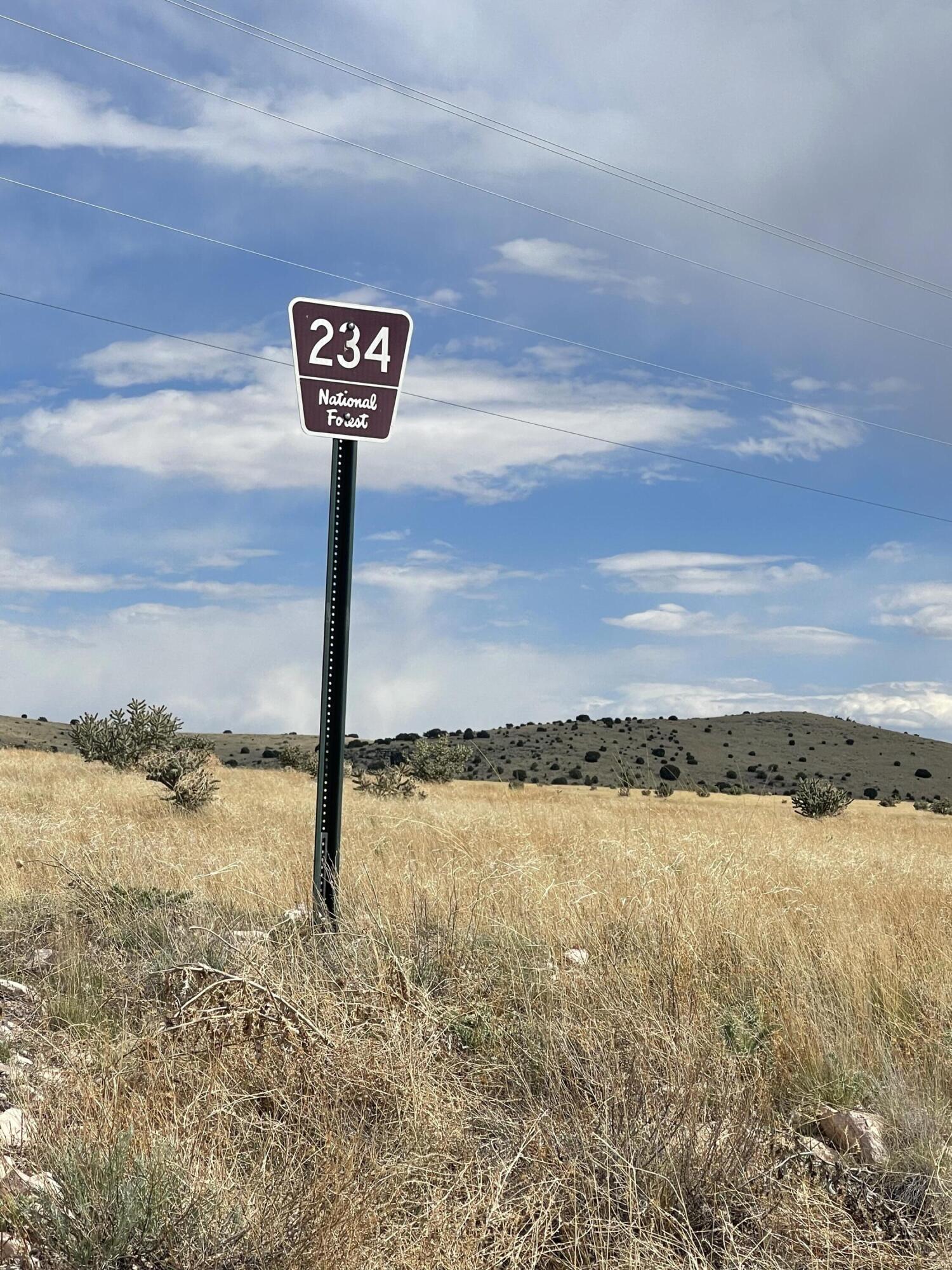 Big Cat Vista Ranch
