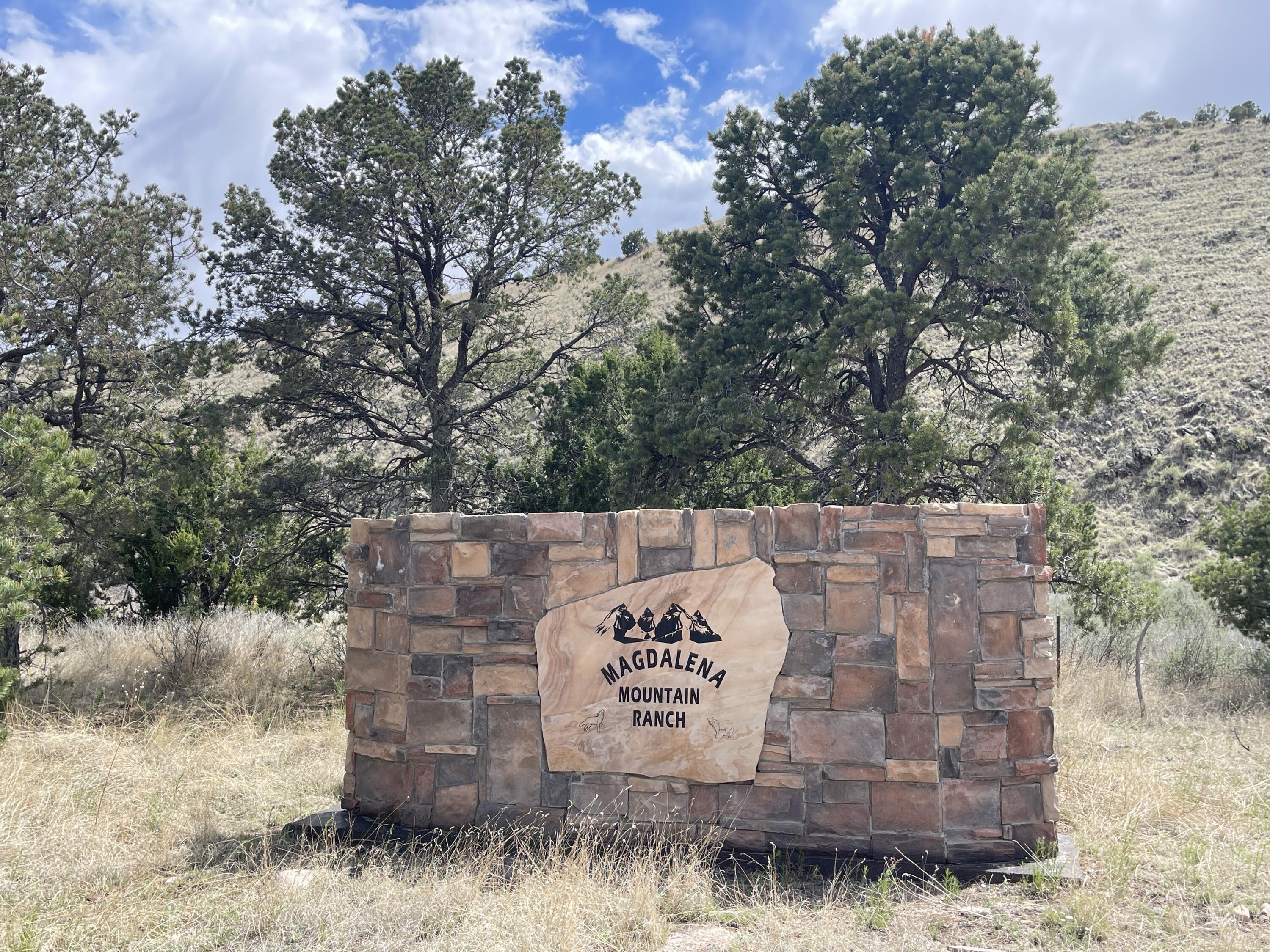 Big Cat Vista Ranch