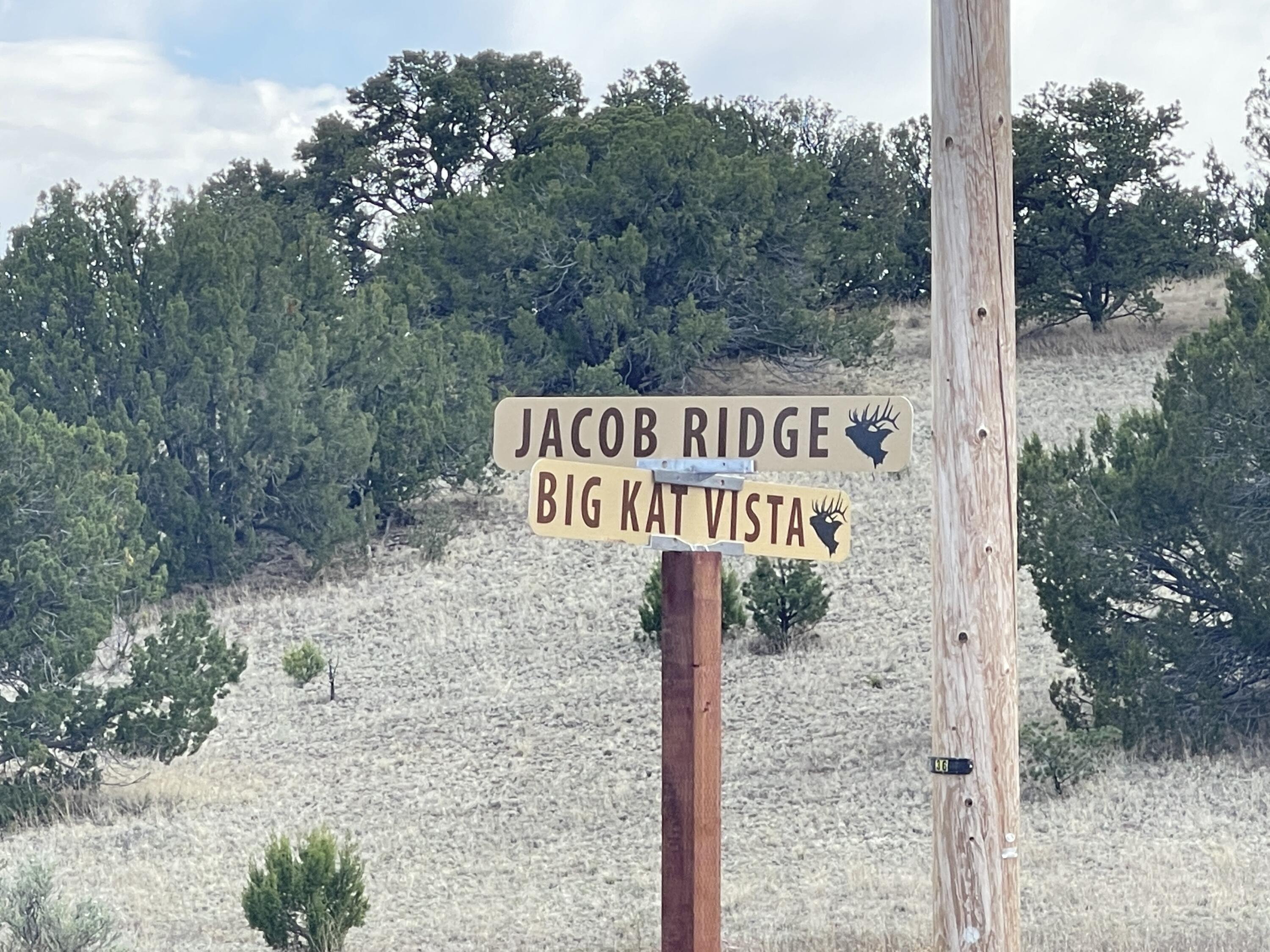 Big Cat Vista Ranch