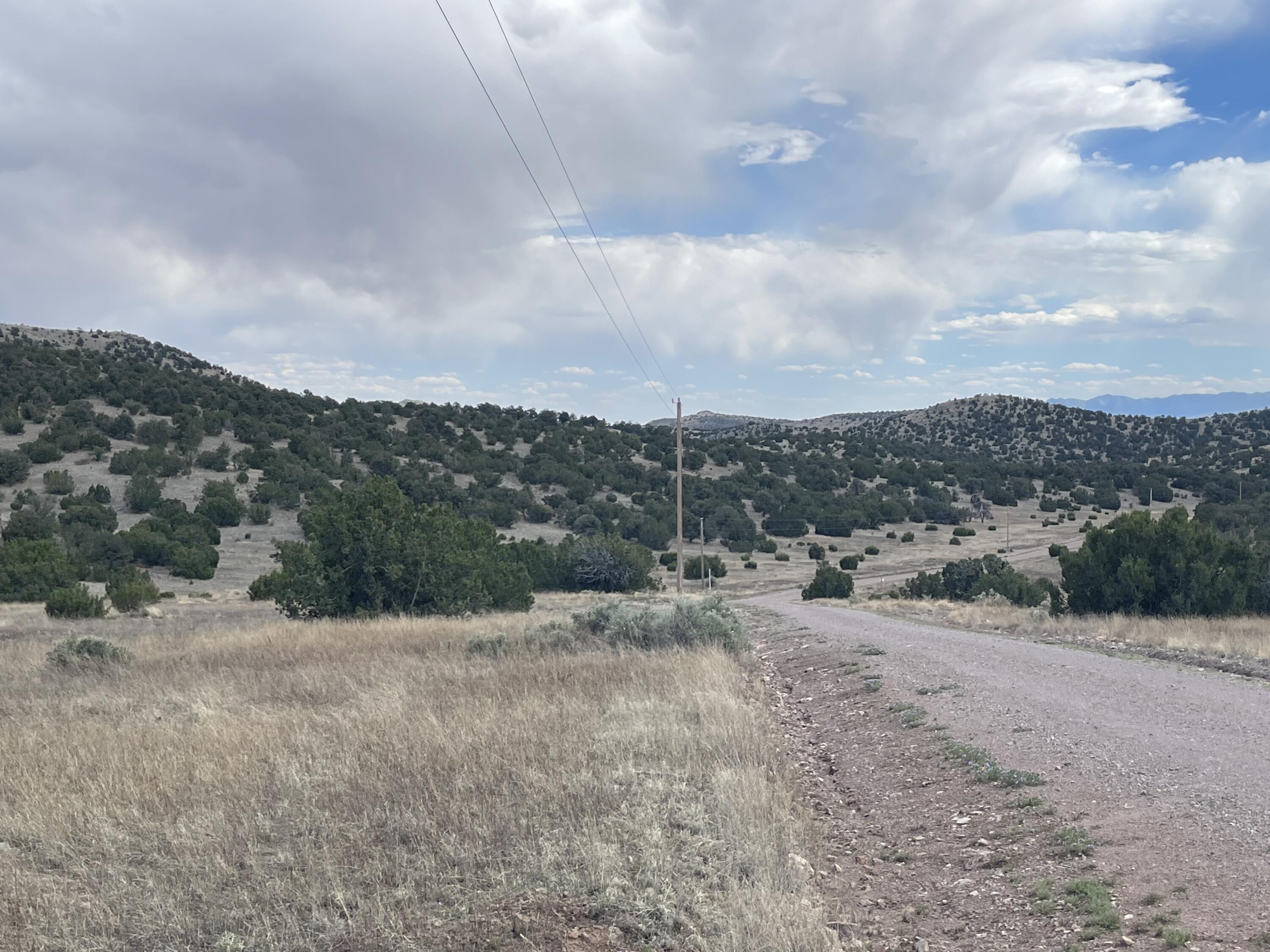 Big Cat Vista Ranch