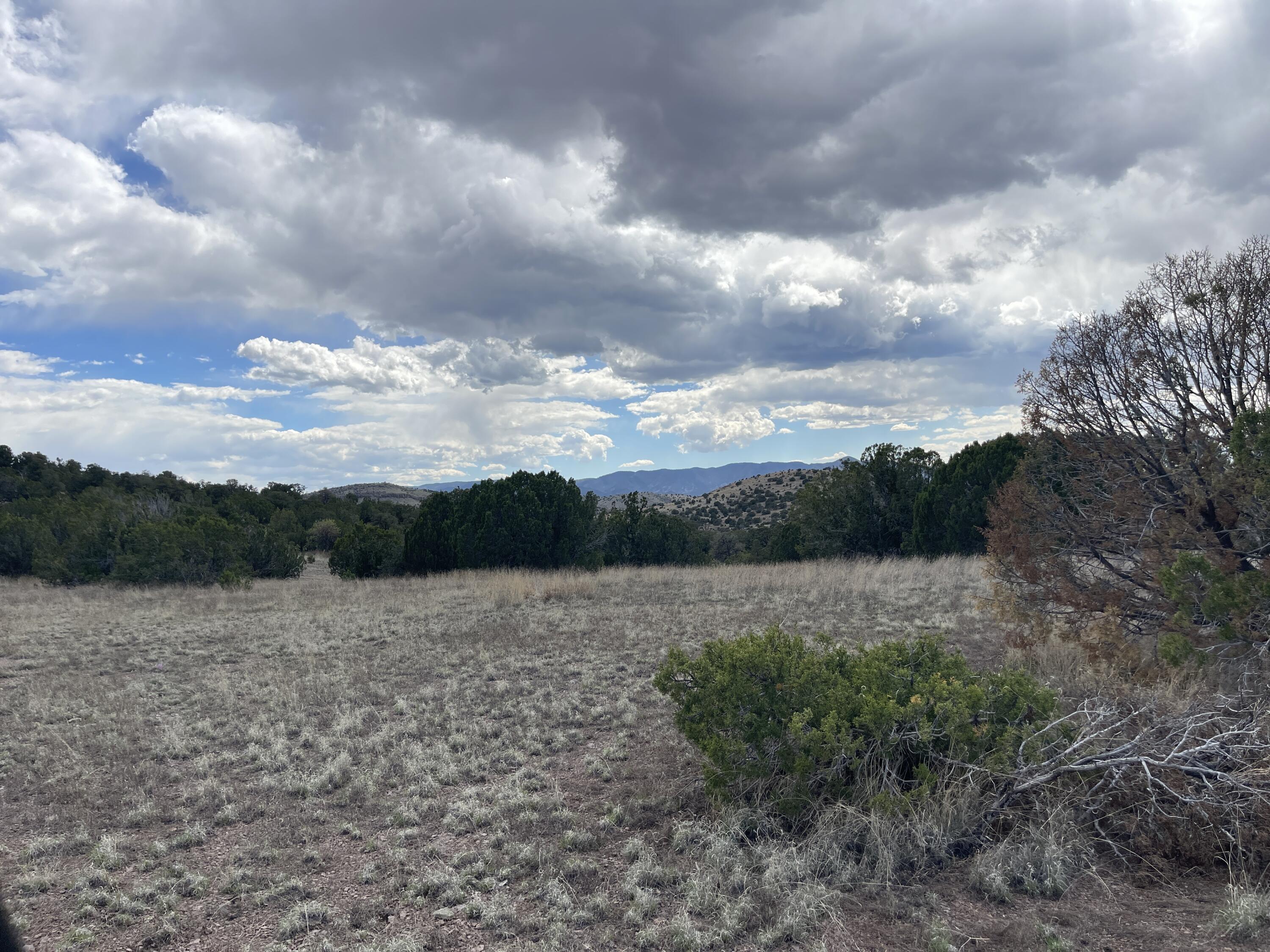 Big Cat Vista Ranch