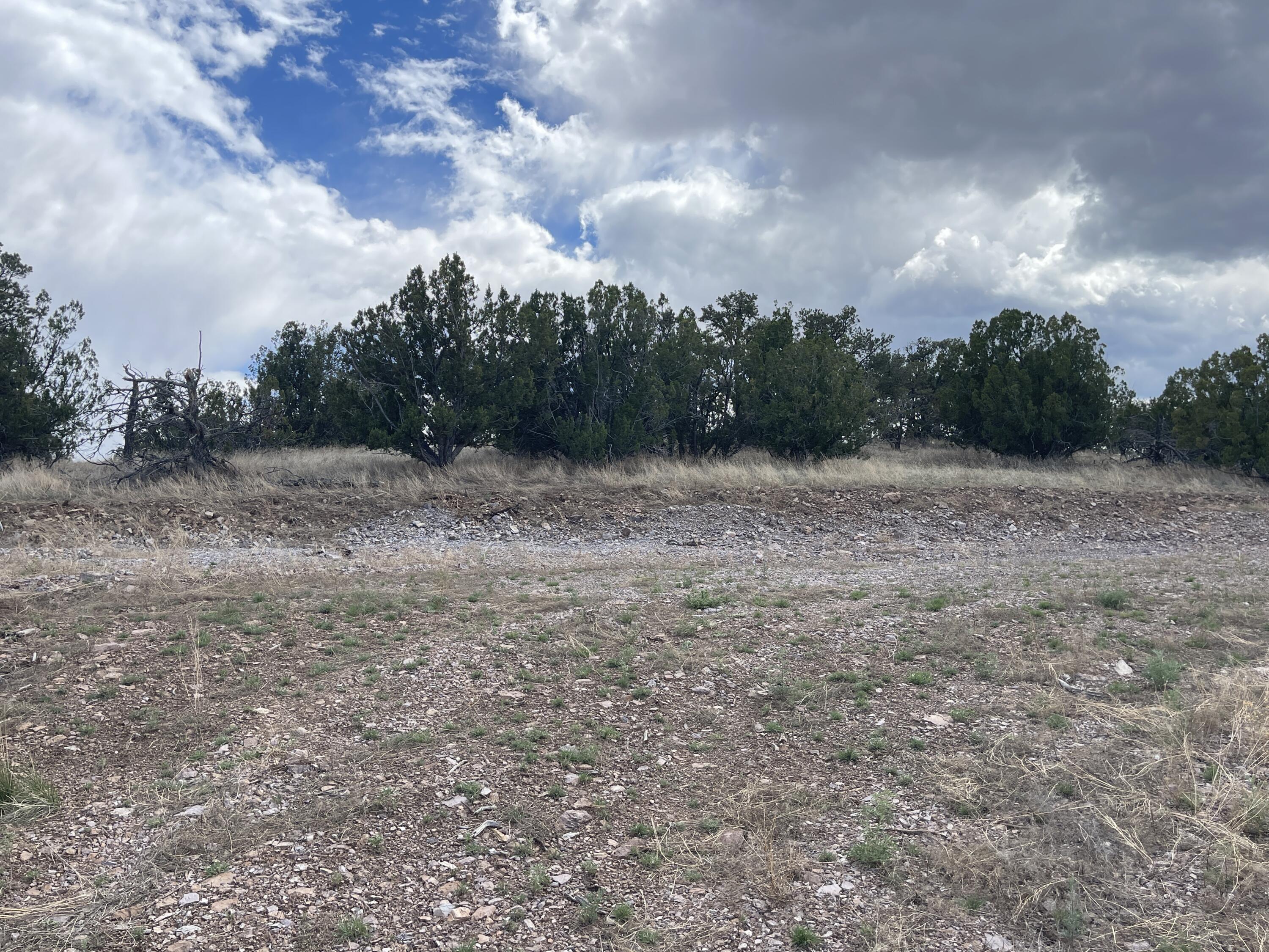 Big Cat Vista Ranch