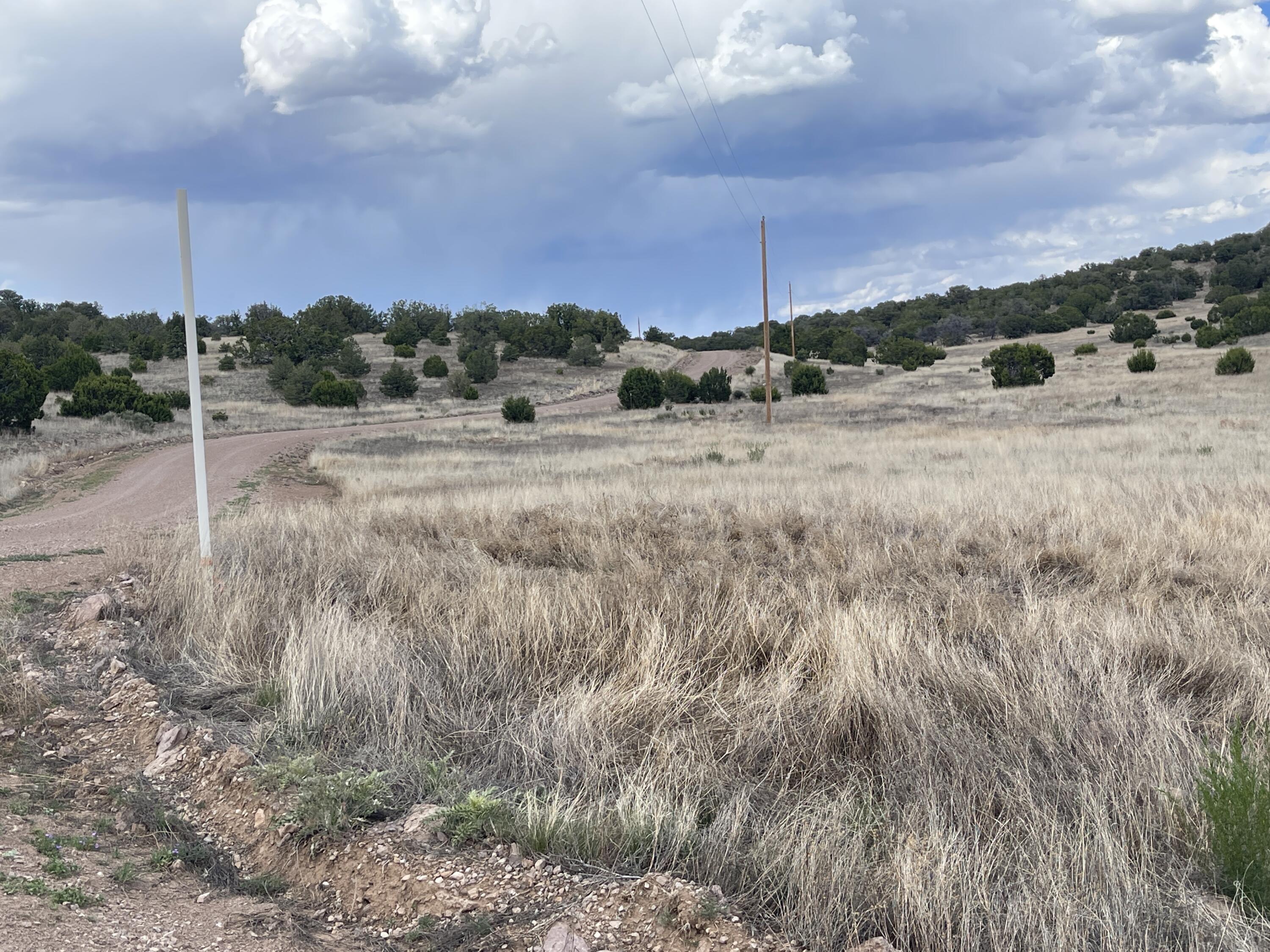 Big Cat Vista Ranch