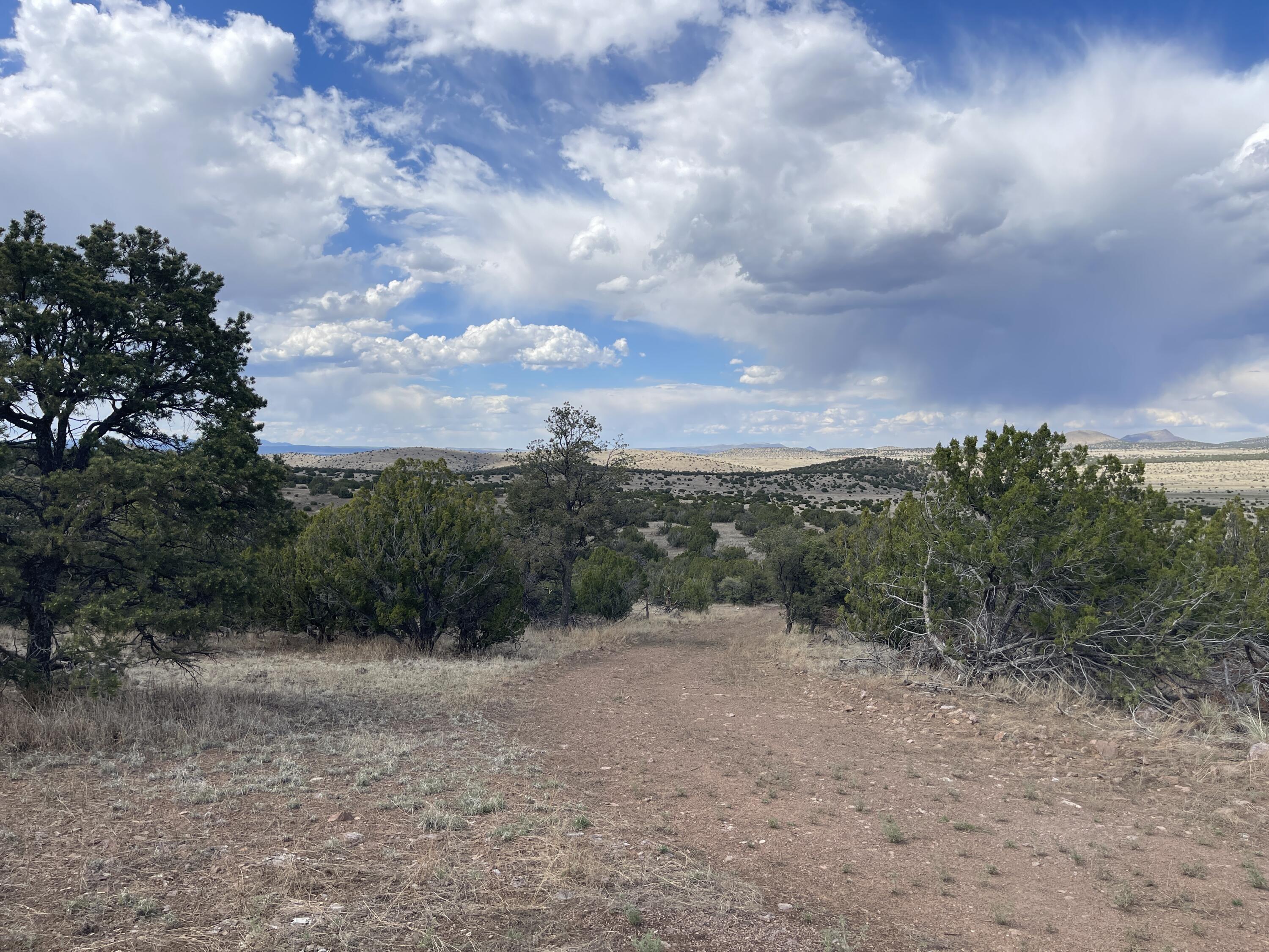 Big Cat Vista Ranch