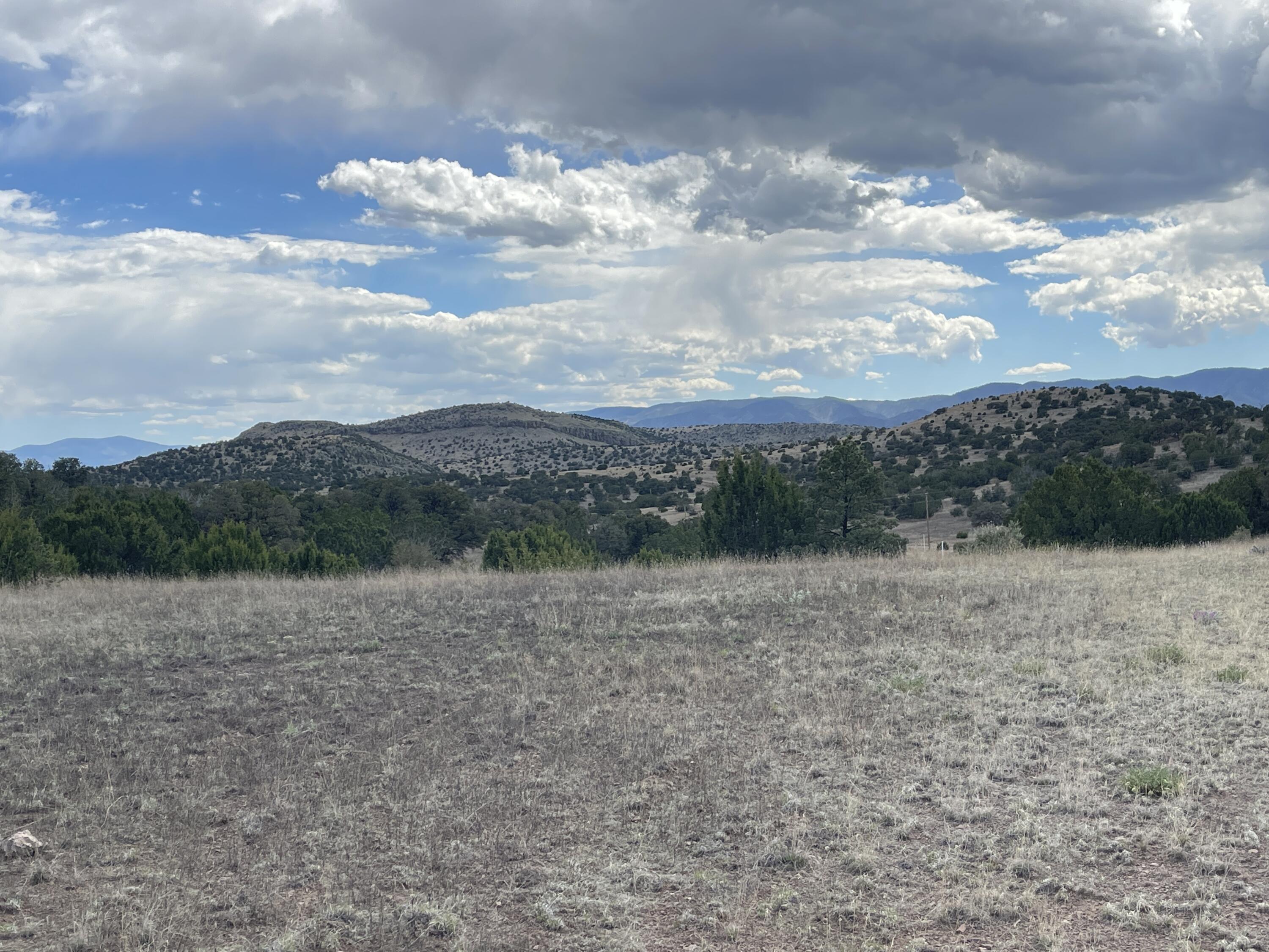 Big Cat Vista Ranch