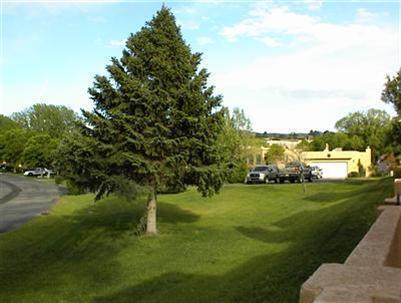 13124 Nandina Lane SE