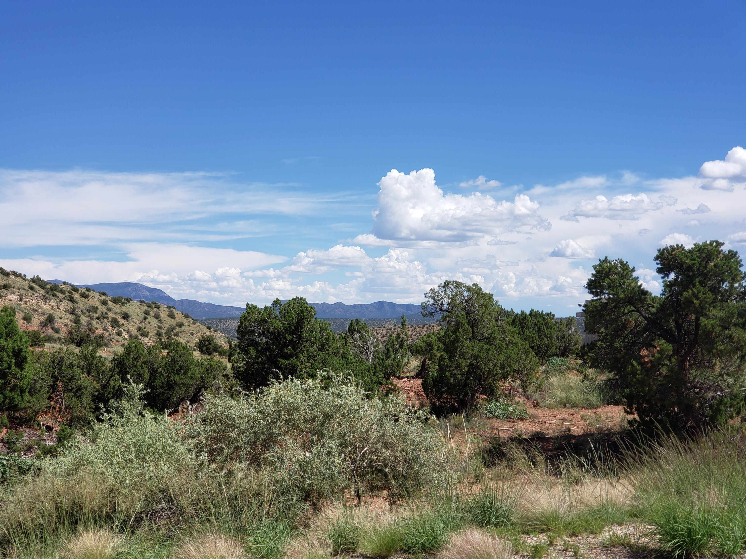 256 Diamond Tail Road