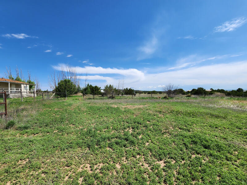 3 Brandy Court