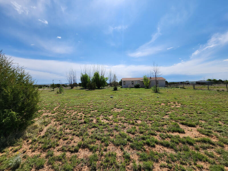 3 Brandy Court