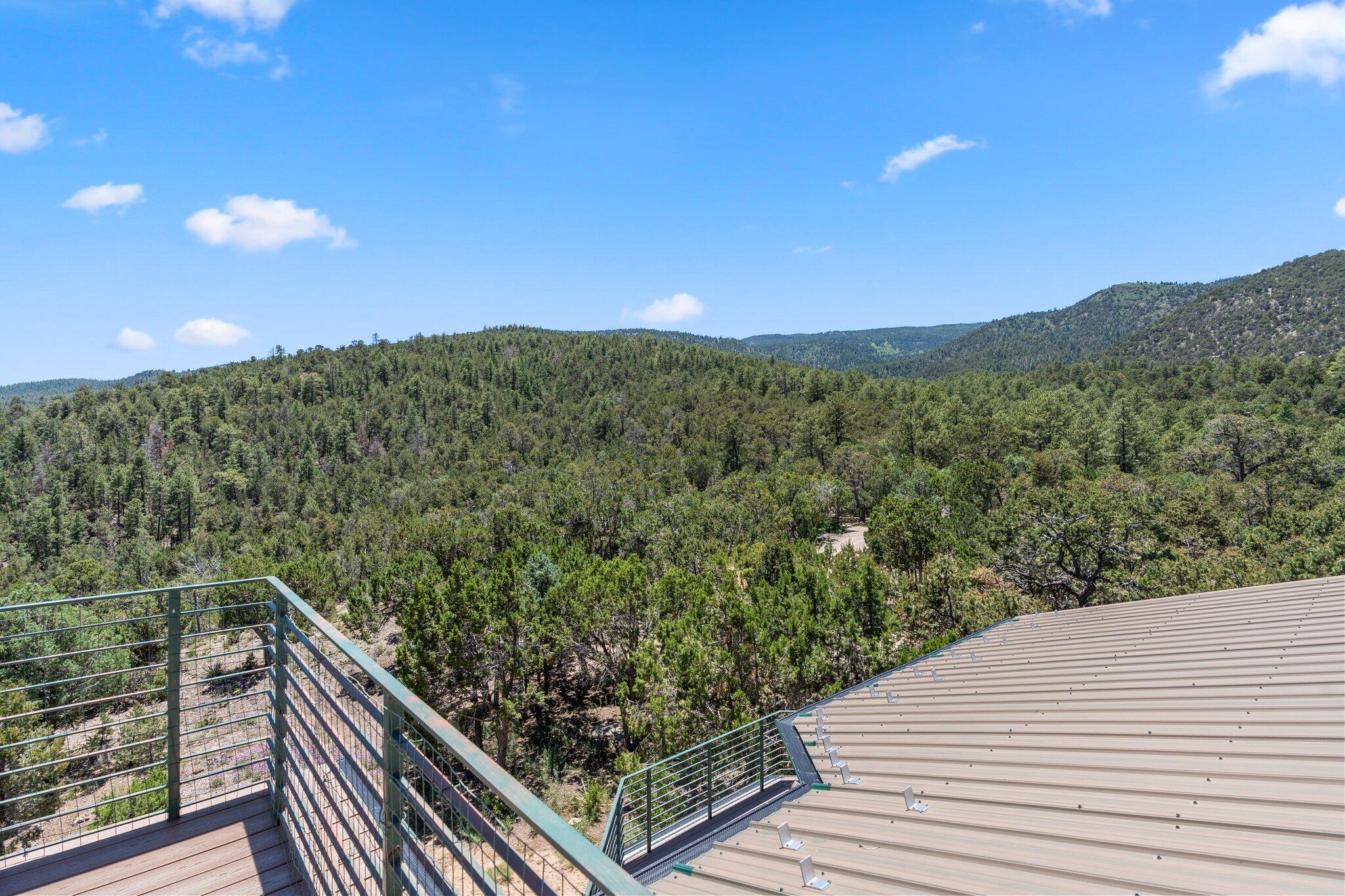 50 Madera Vista