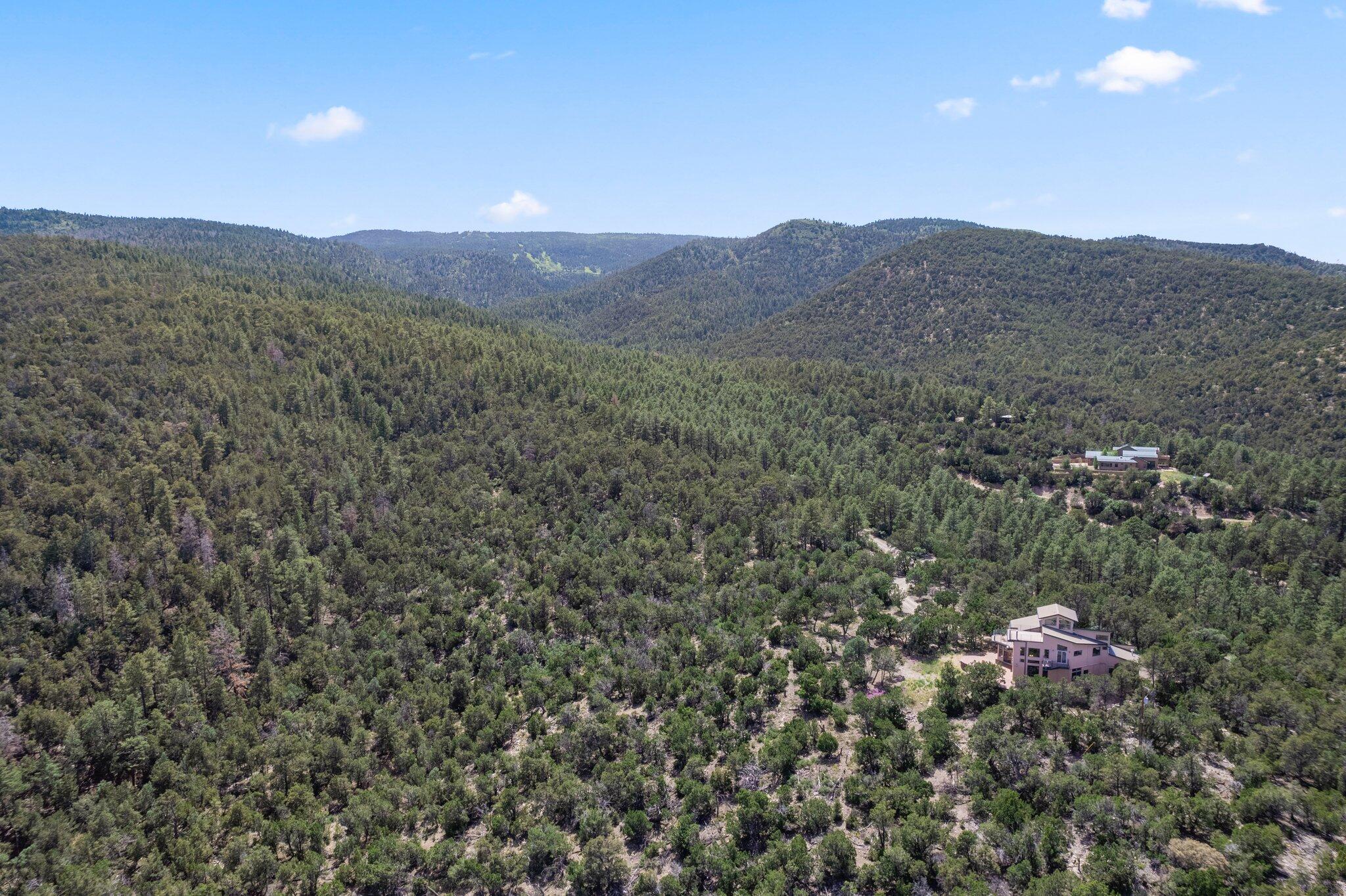50 Madera Vista