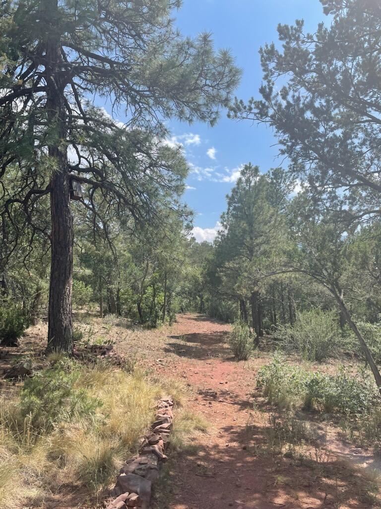 12375 N Highway 14